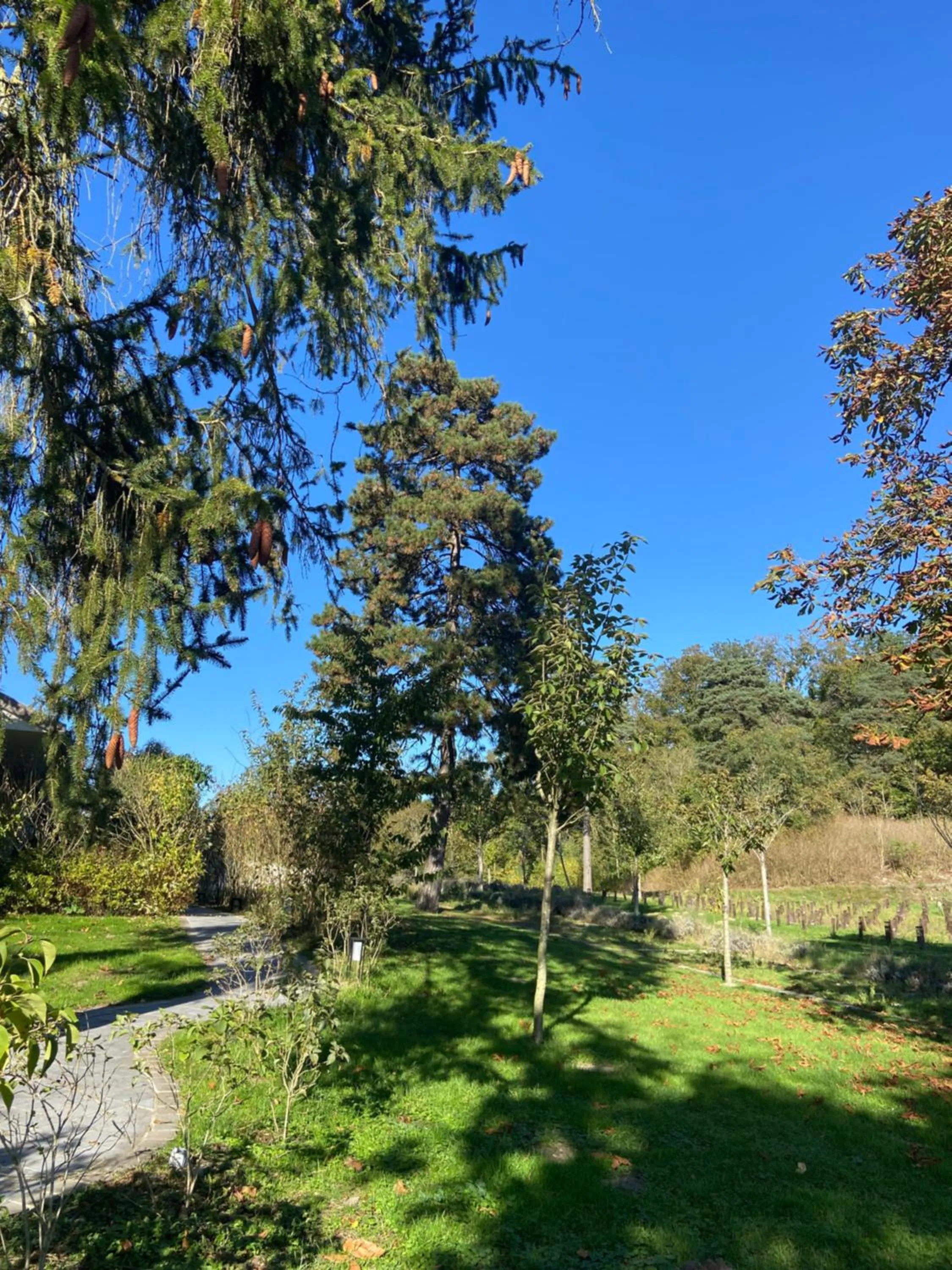 Day in Chateau De Fere