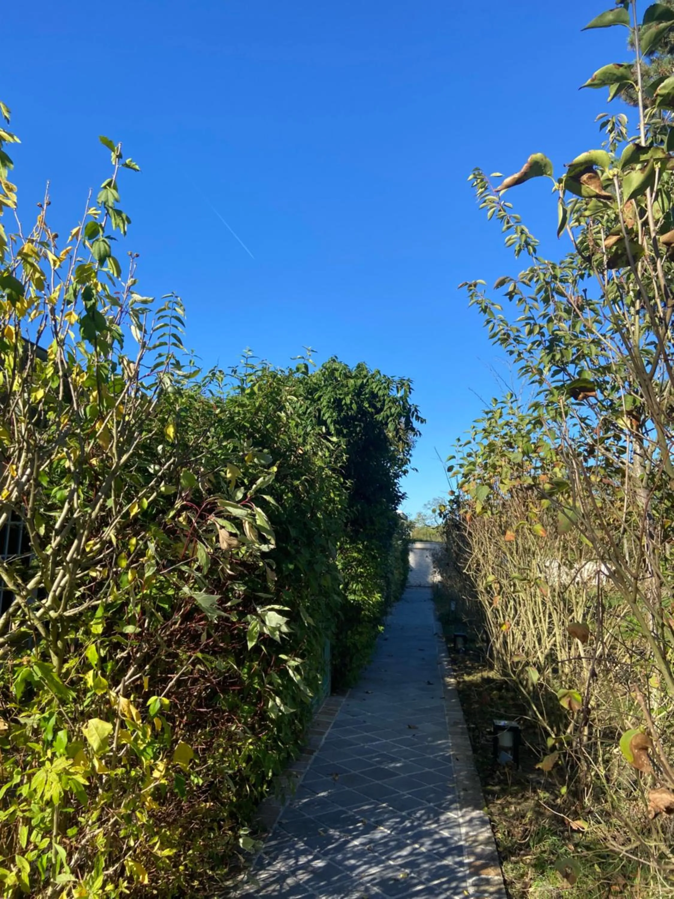 Day in Chateau De Fere