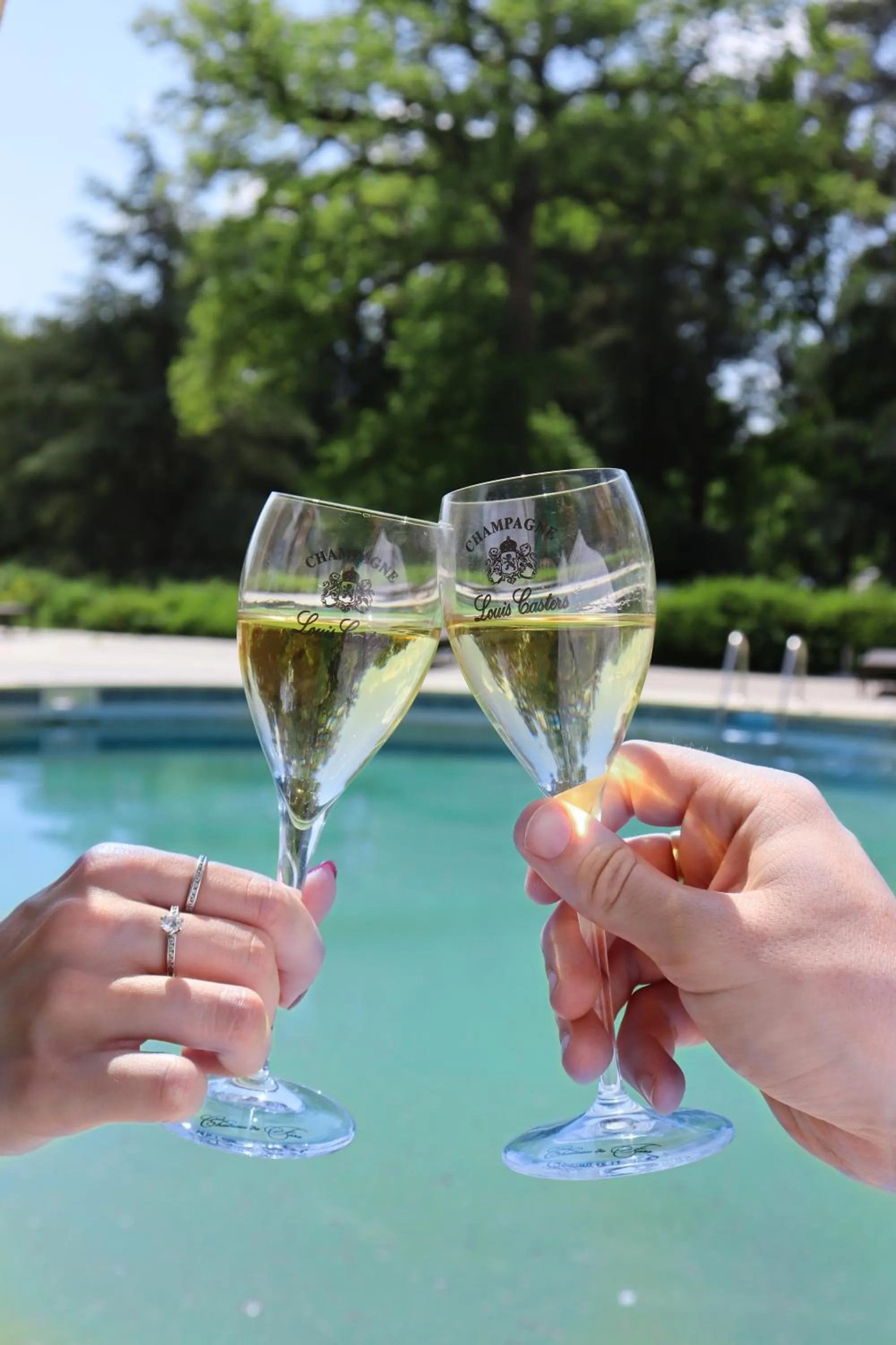 Alcoholic drinks in Chateau De Fere