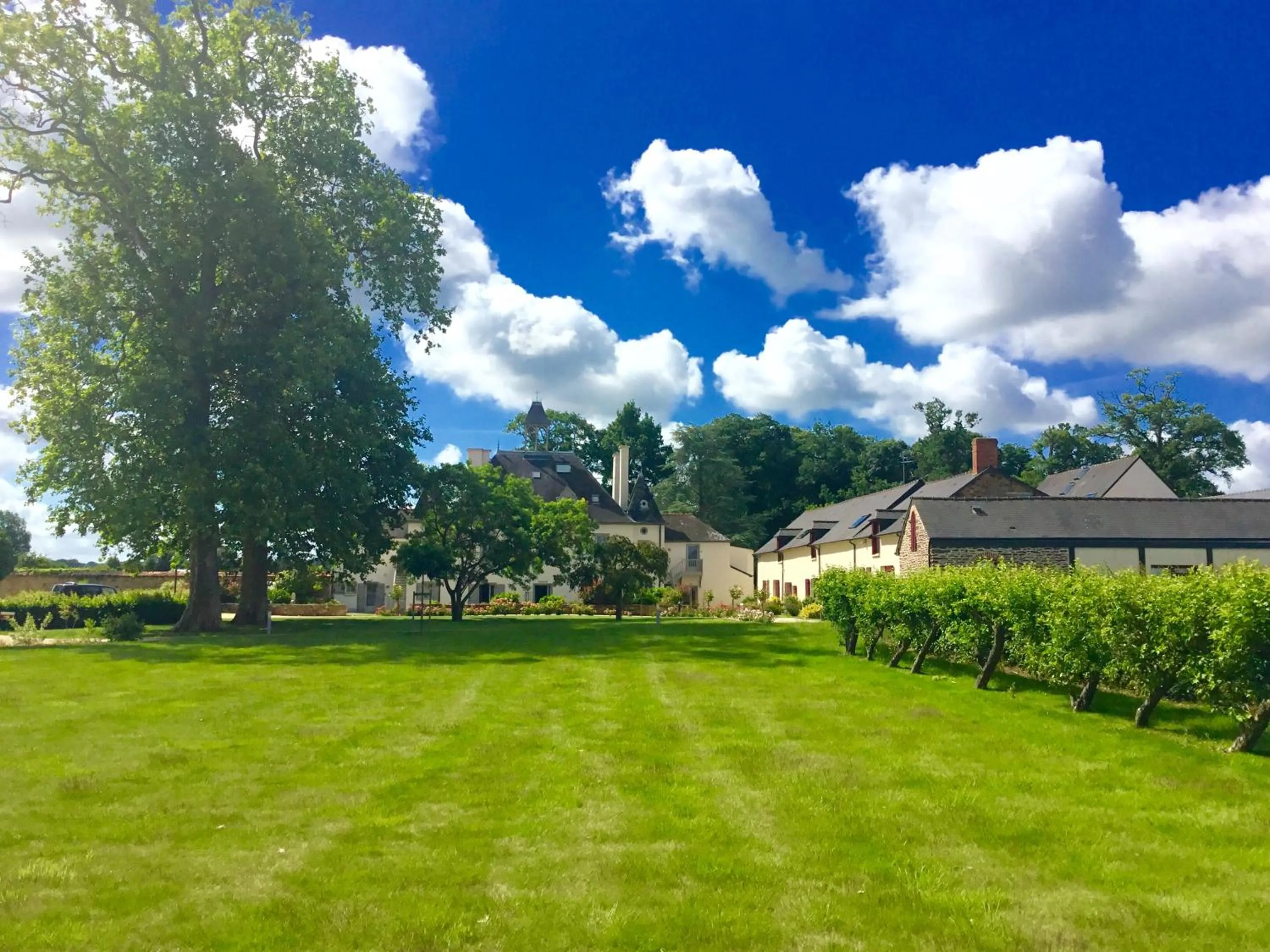 Garden view in La Pommeraie