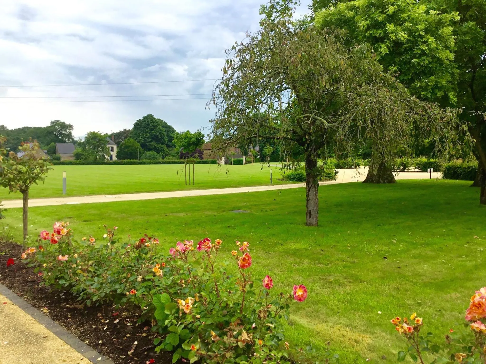 Natural landscape in La Pommeraie