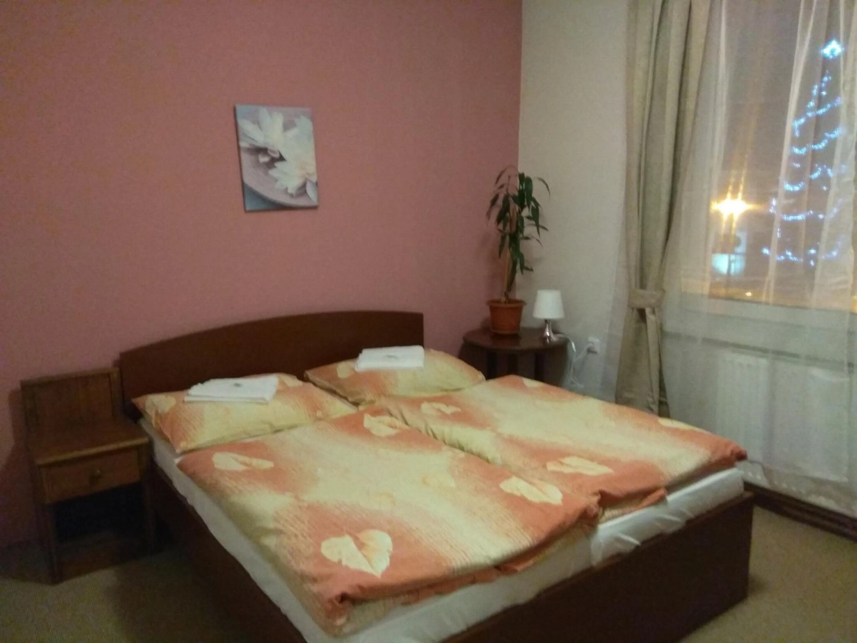 Bed in Hotel Lidový dům