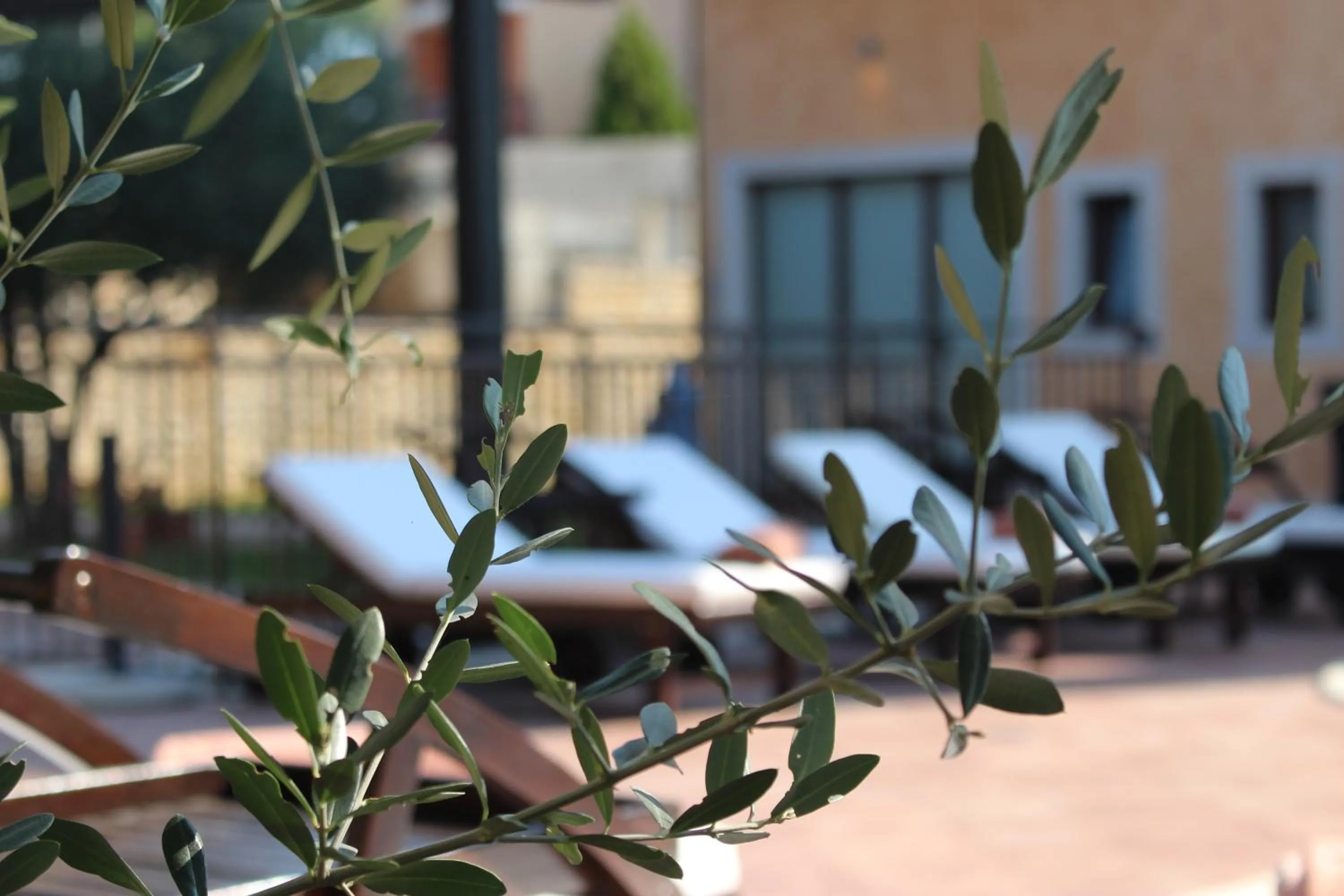 Swimming pool in Casa Alice