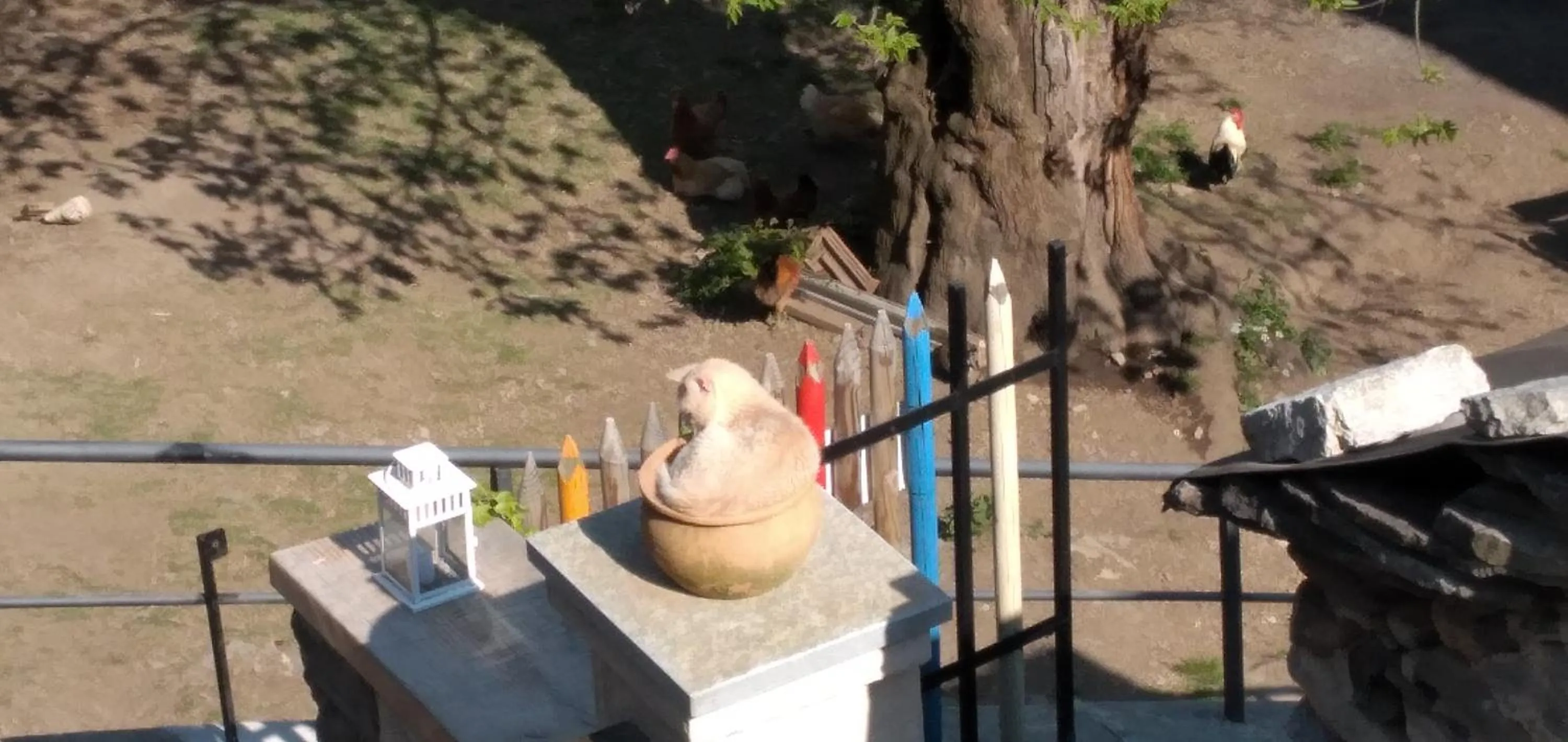 Foresteria B&B Vecchiascuola Pianazzola