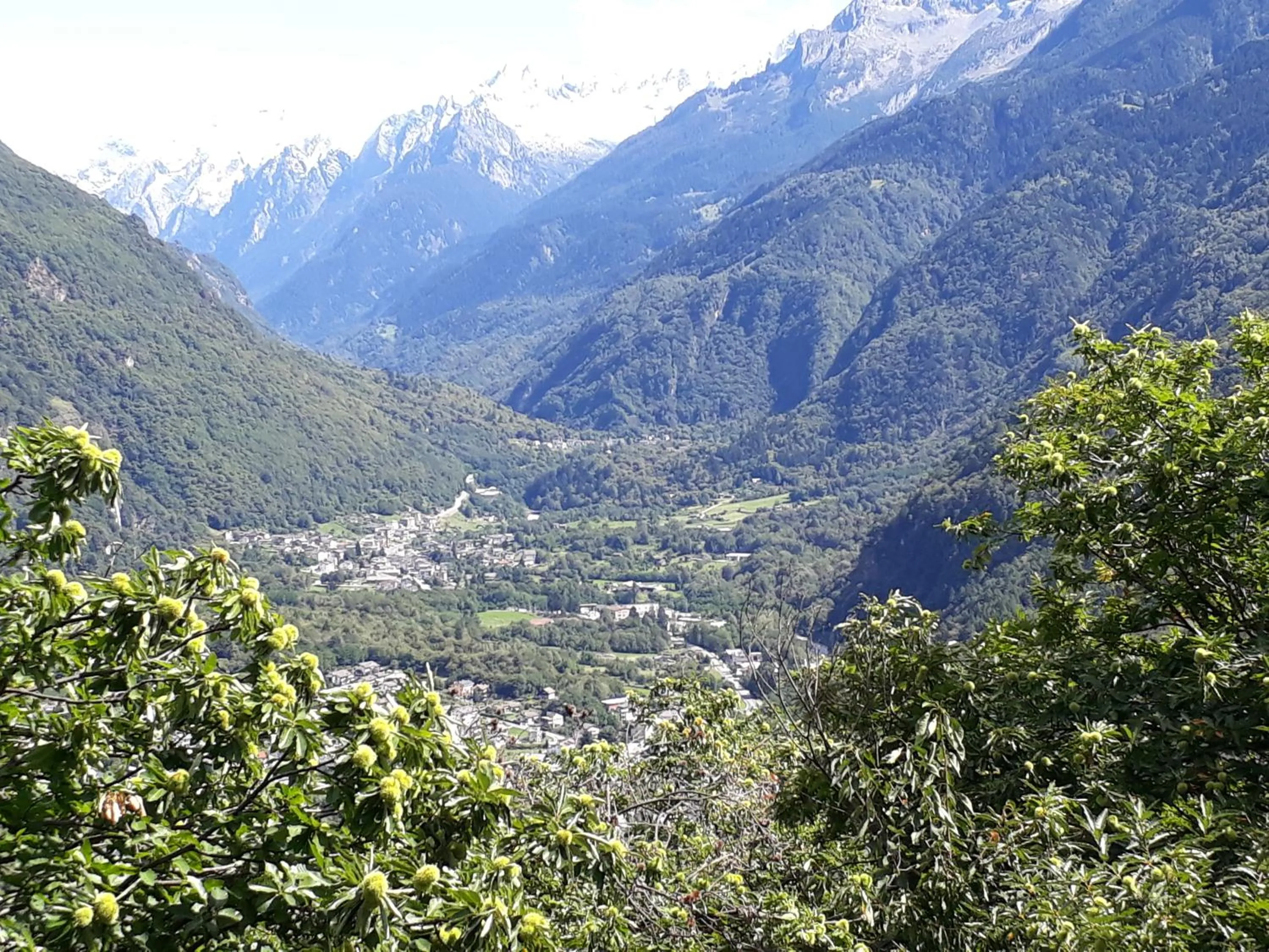 Foresteria B&B Vecchiascuola Pianazzola