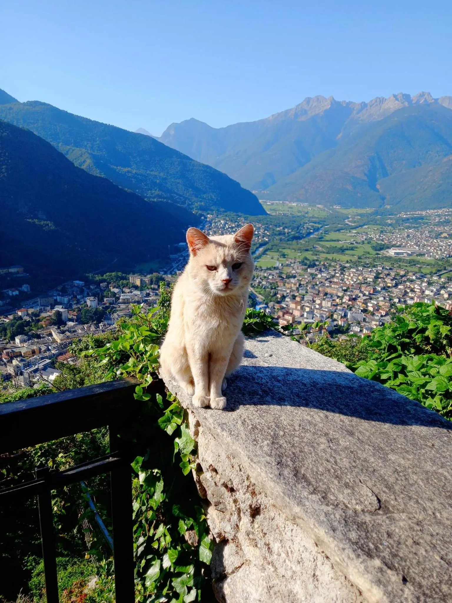 Foresteria B&B Vecchiascuola Pianazzola