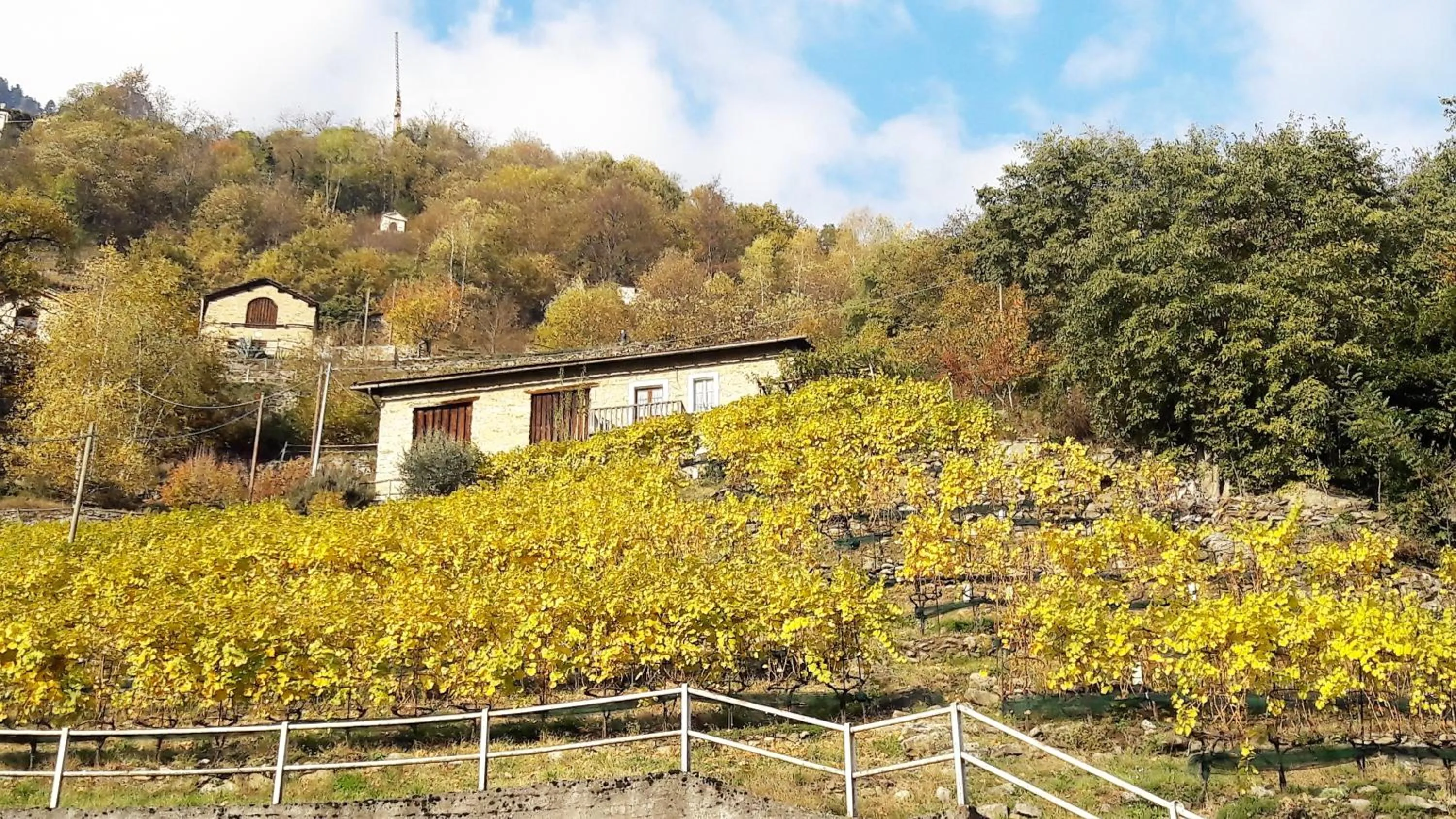 Foresteria B&B Vecchiascuola Pianazzola