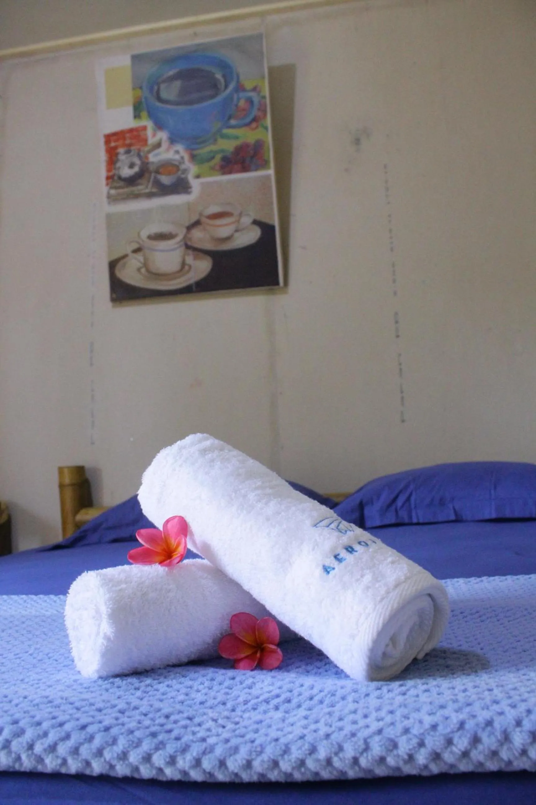 Bed in Backpacker Kawah Ijen