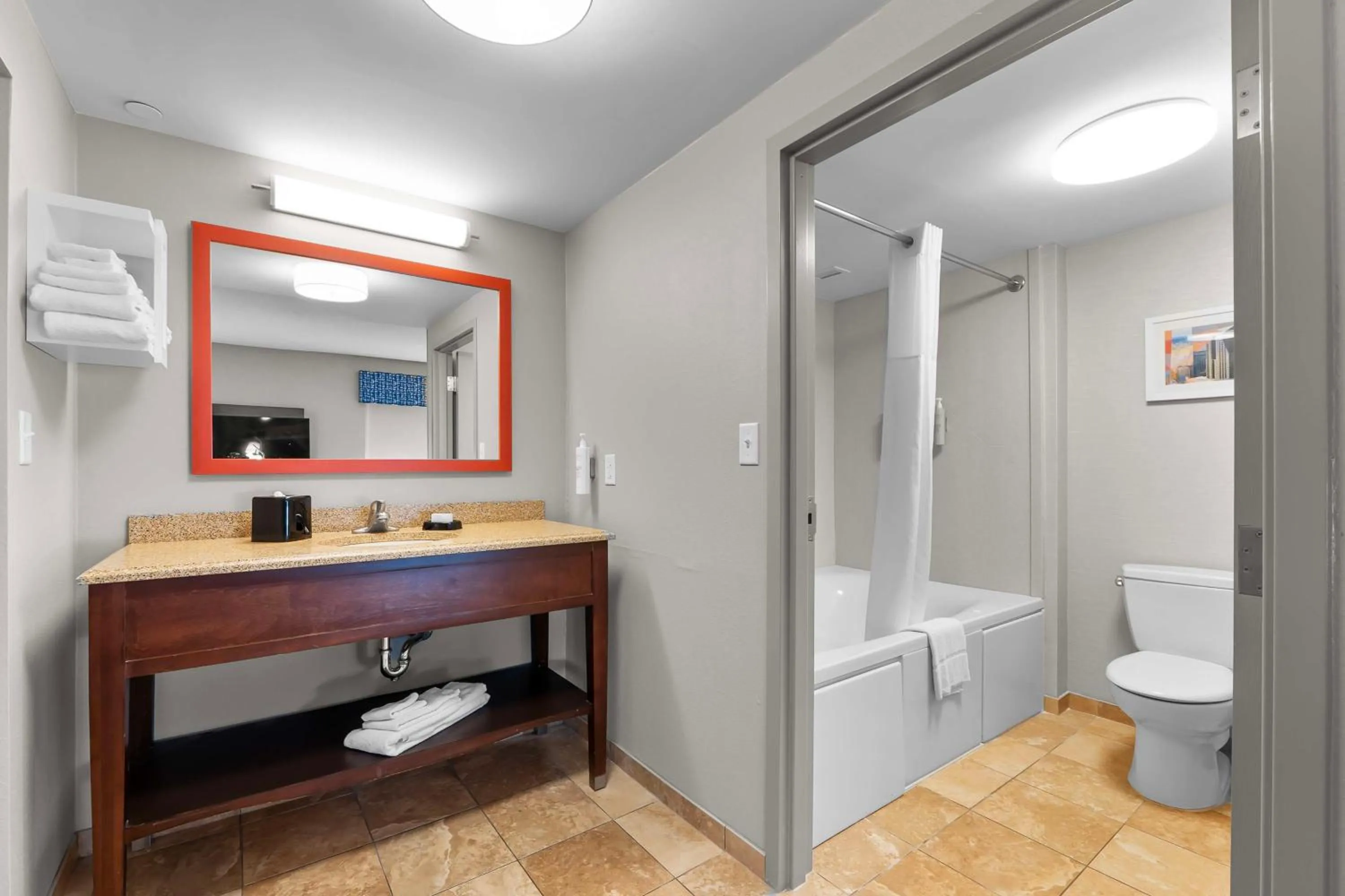 Bathroom in Hampton Inn & Suites - Saint Louis South Interstate 55