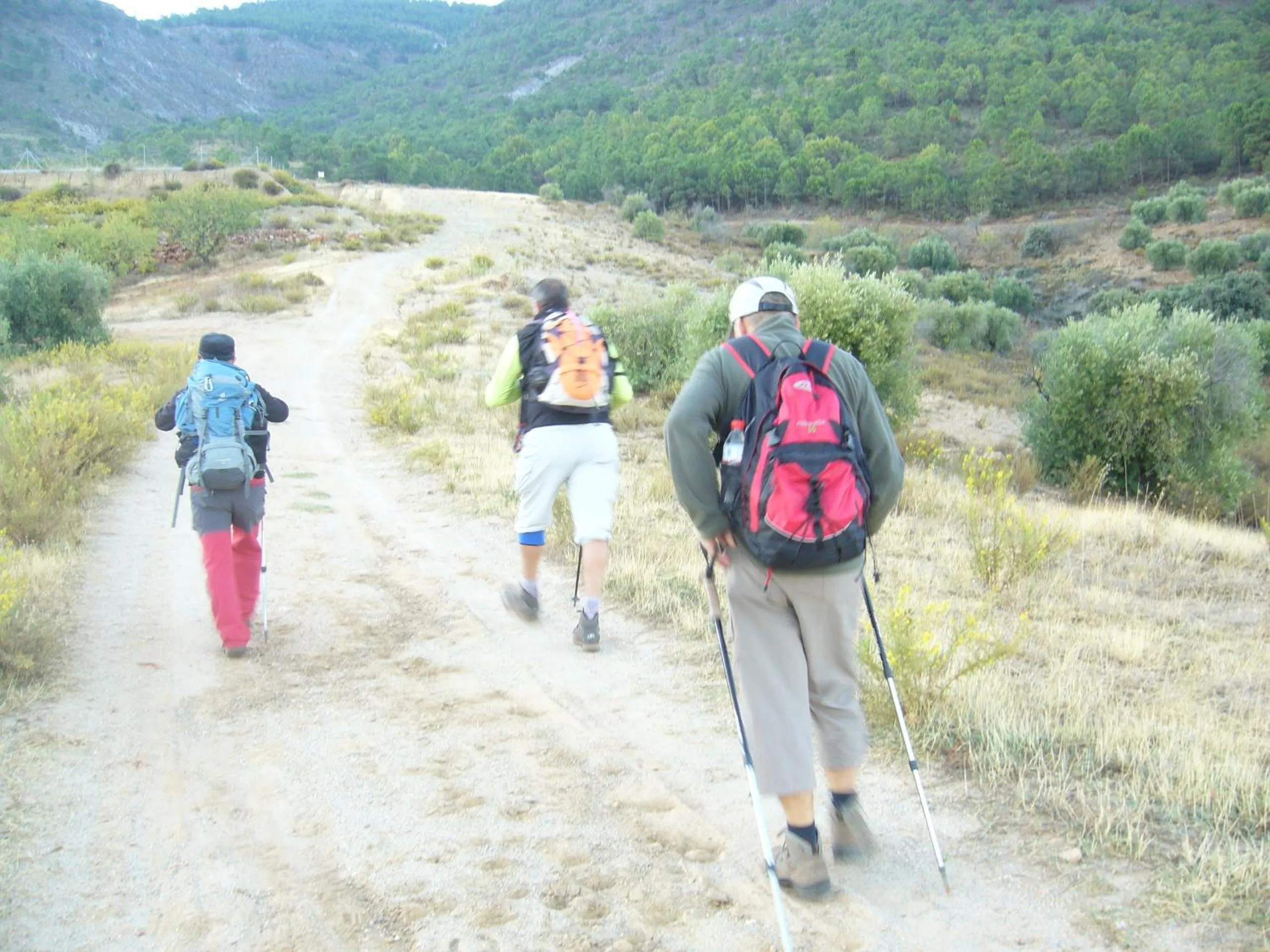 Natural landscape in B&B Lasnavillasmm