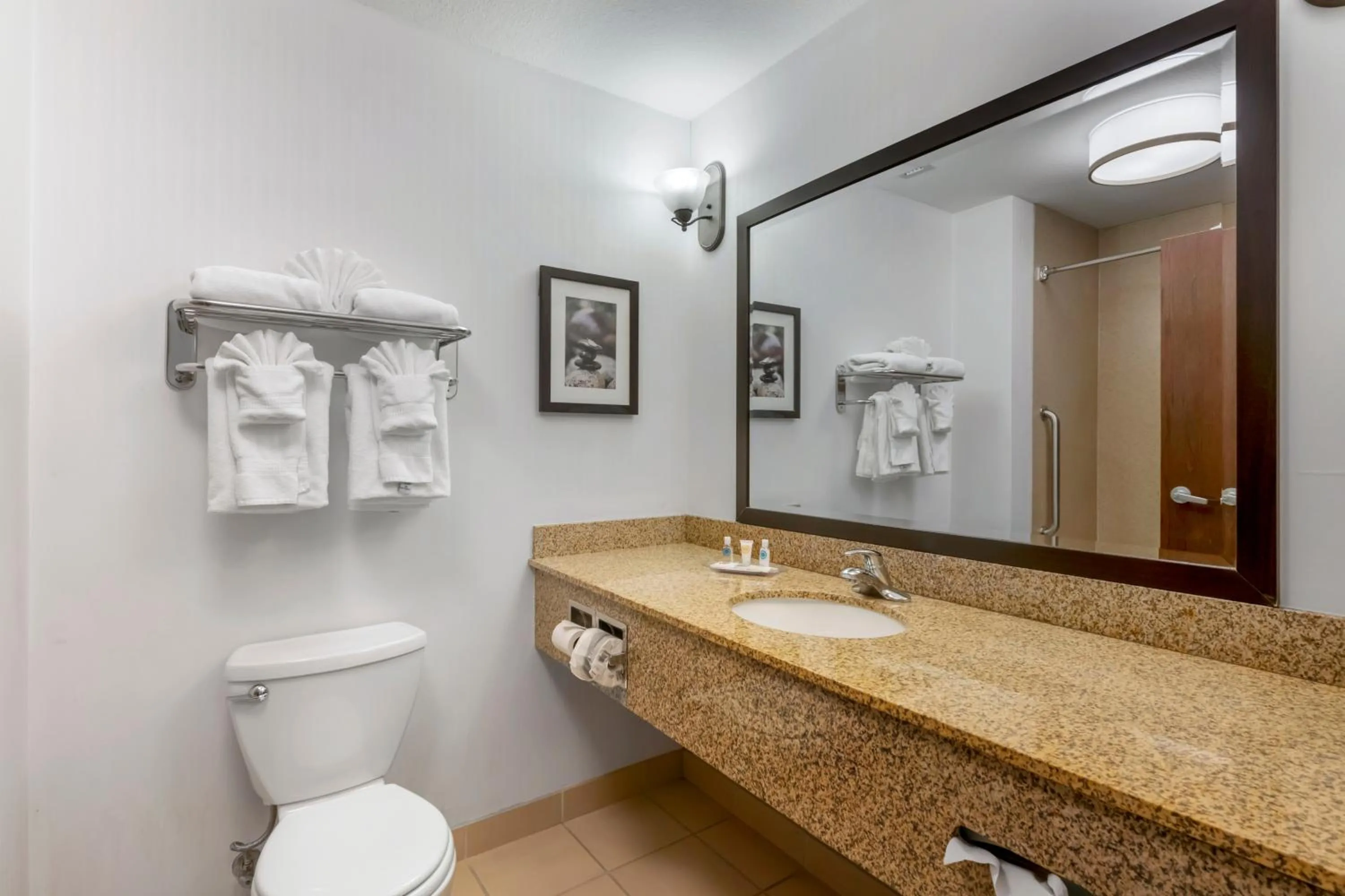 Bathroom in Comfort Suites Conference Center Rapid City