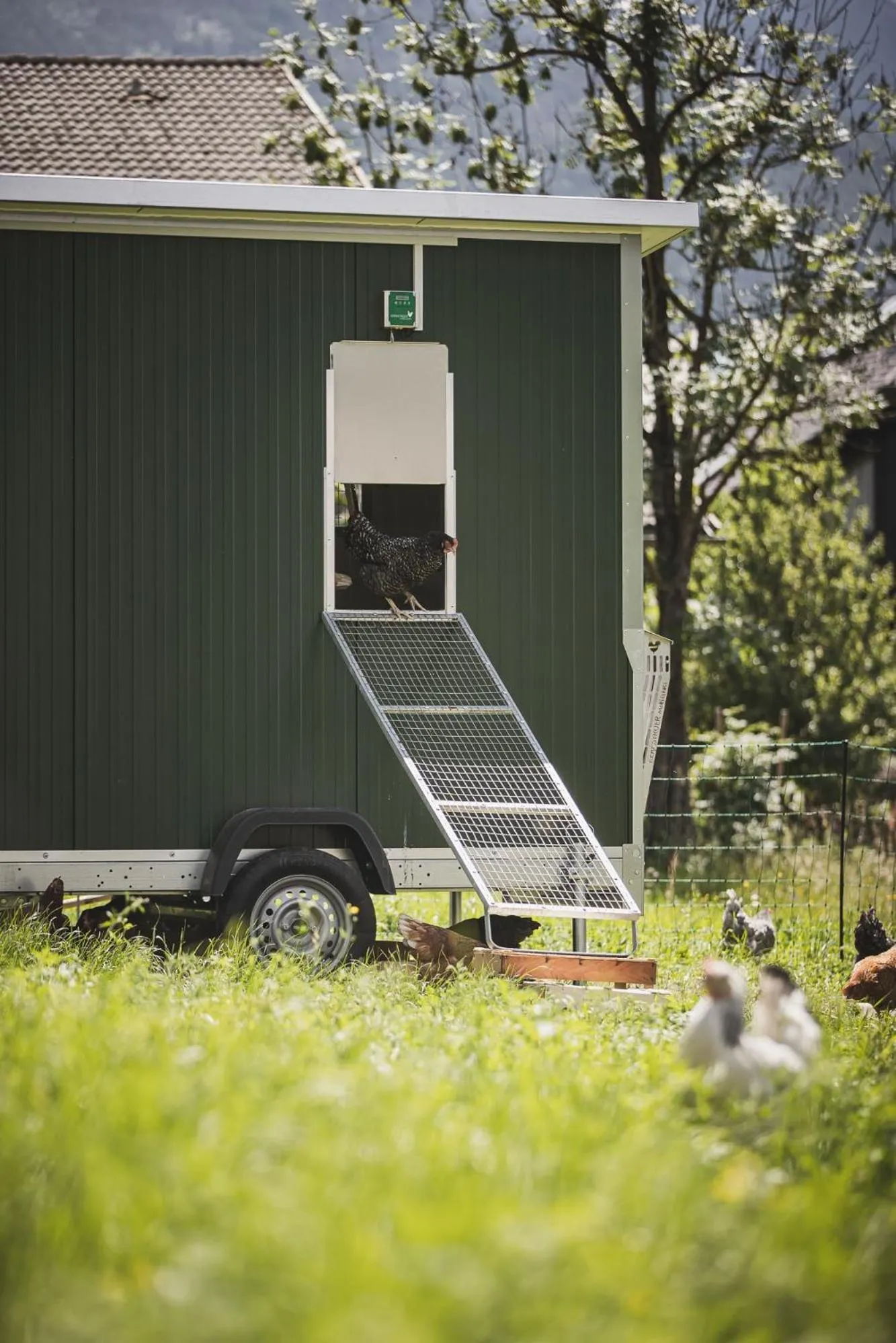 Garden in Hotel Brötz