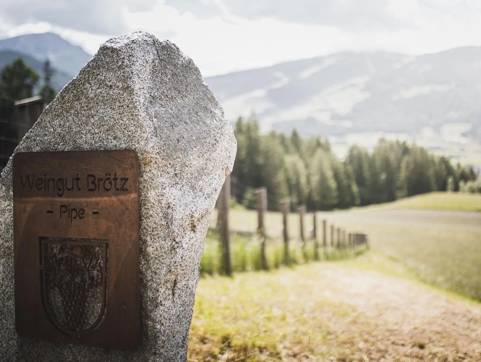Garden view in Hotel Brötz
