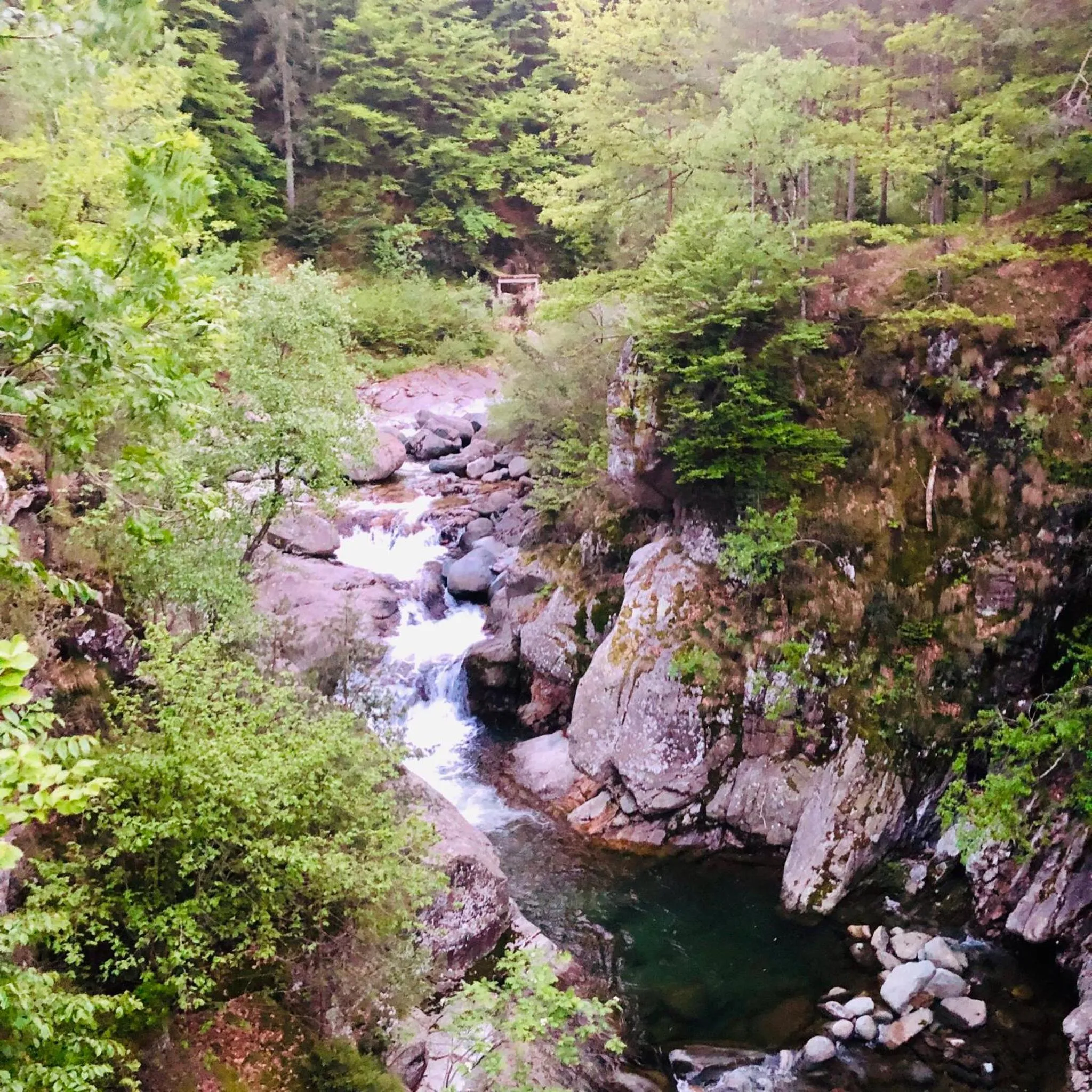 Appartamento Il Portico