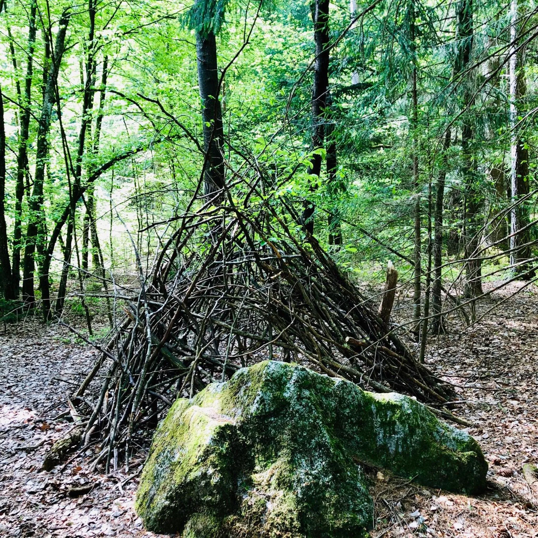 Appartamento Il Portico