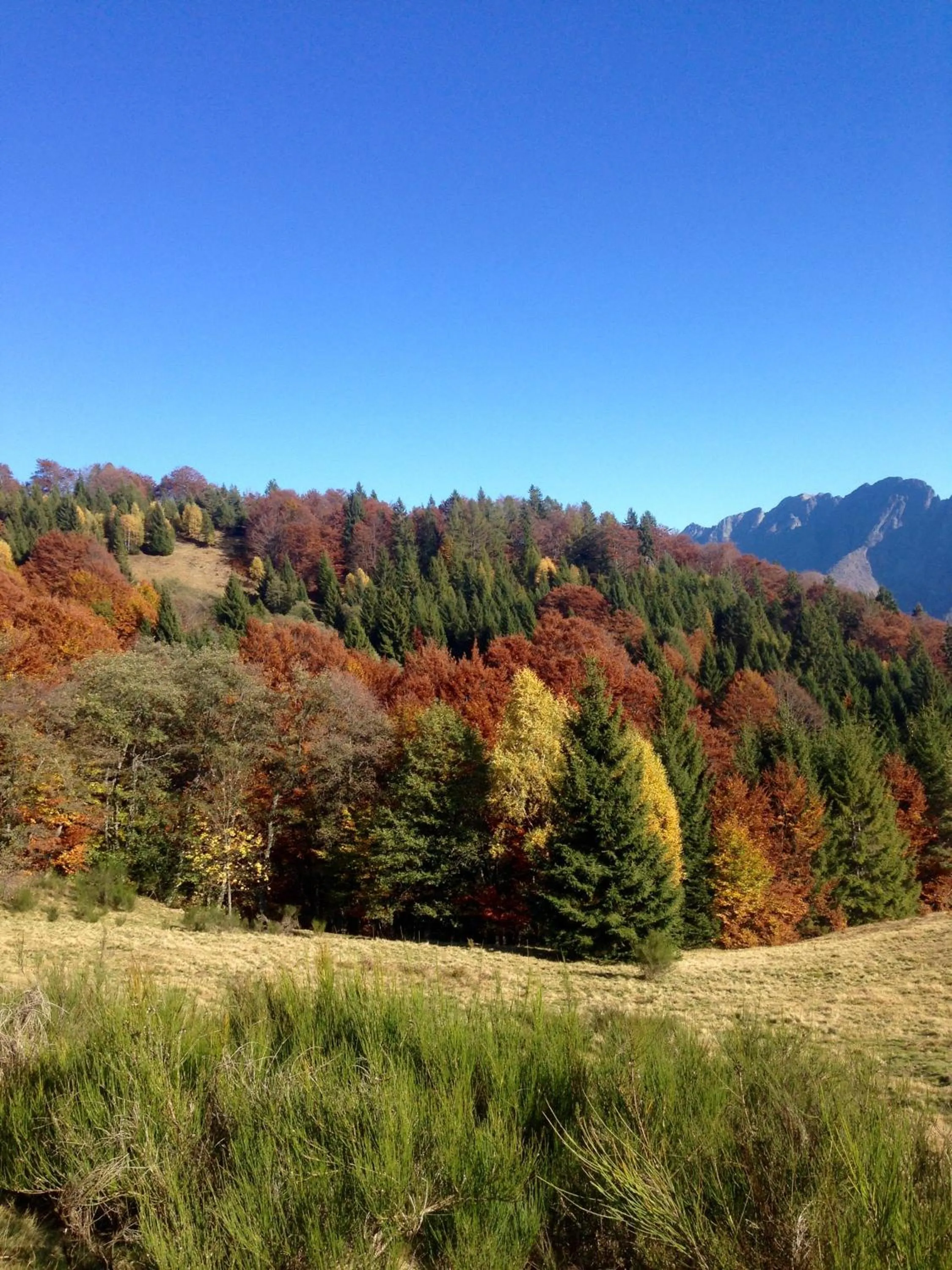 Natural landscape in Appartamento Il Portico
