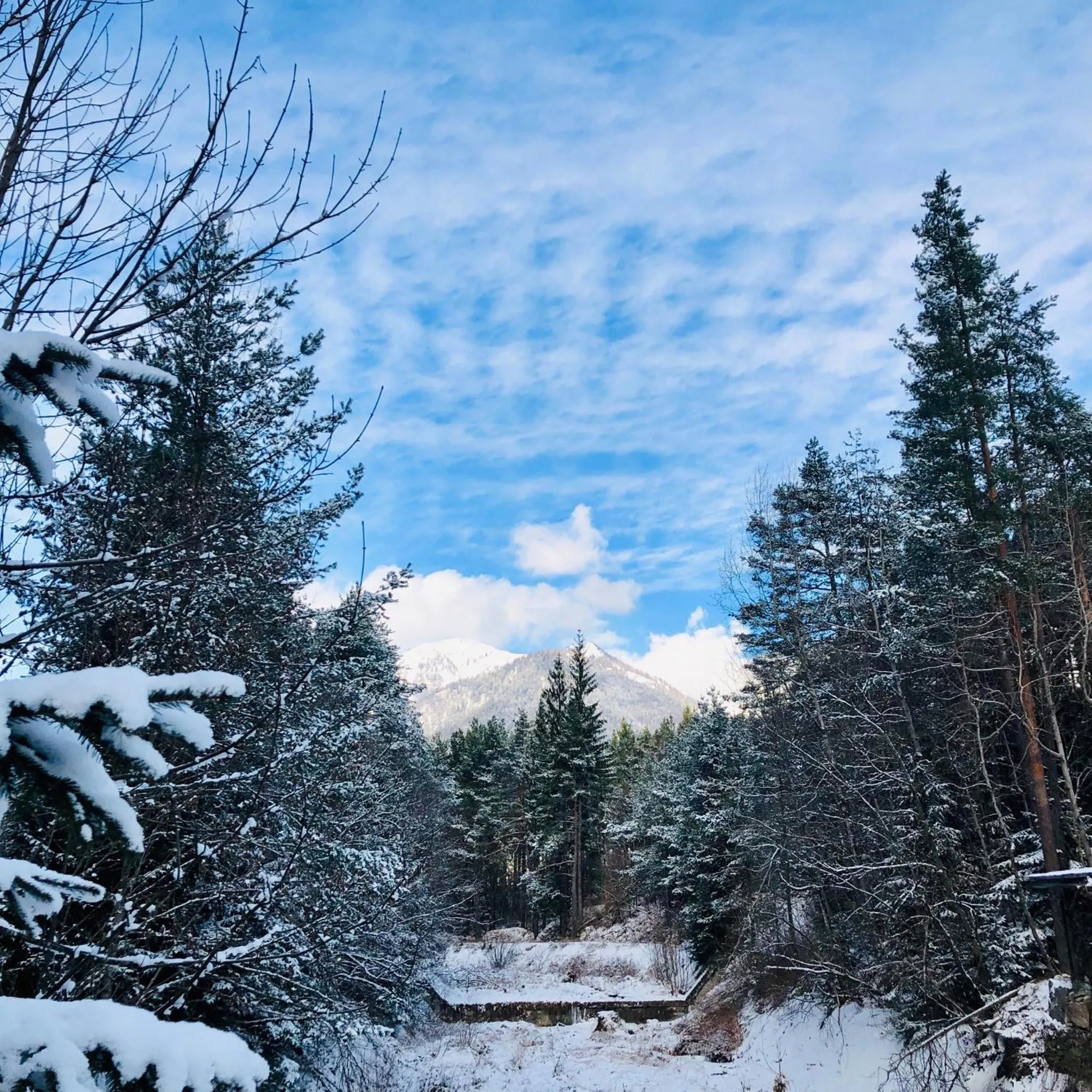 Natural landscape in Appartamento Il Portico