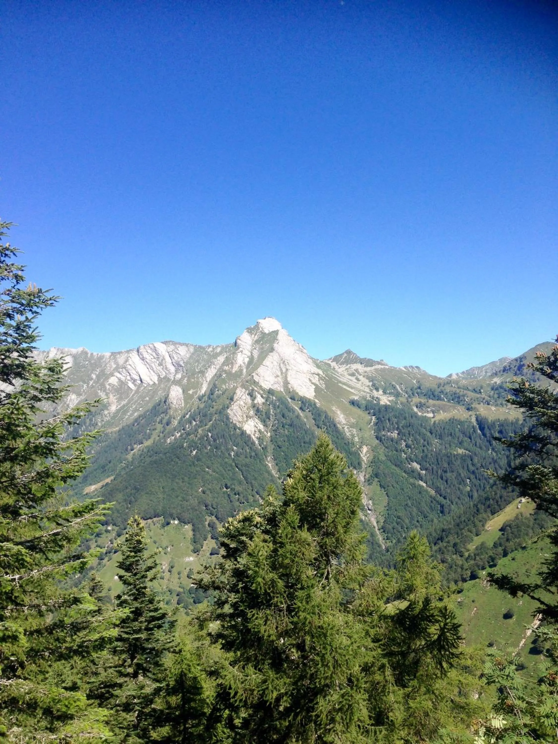 Natural landscape in Appartamento Il Portico