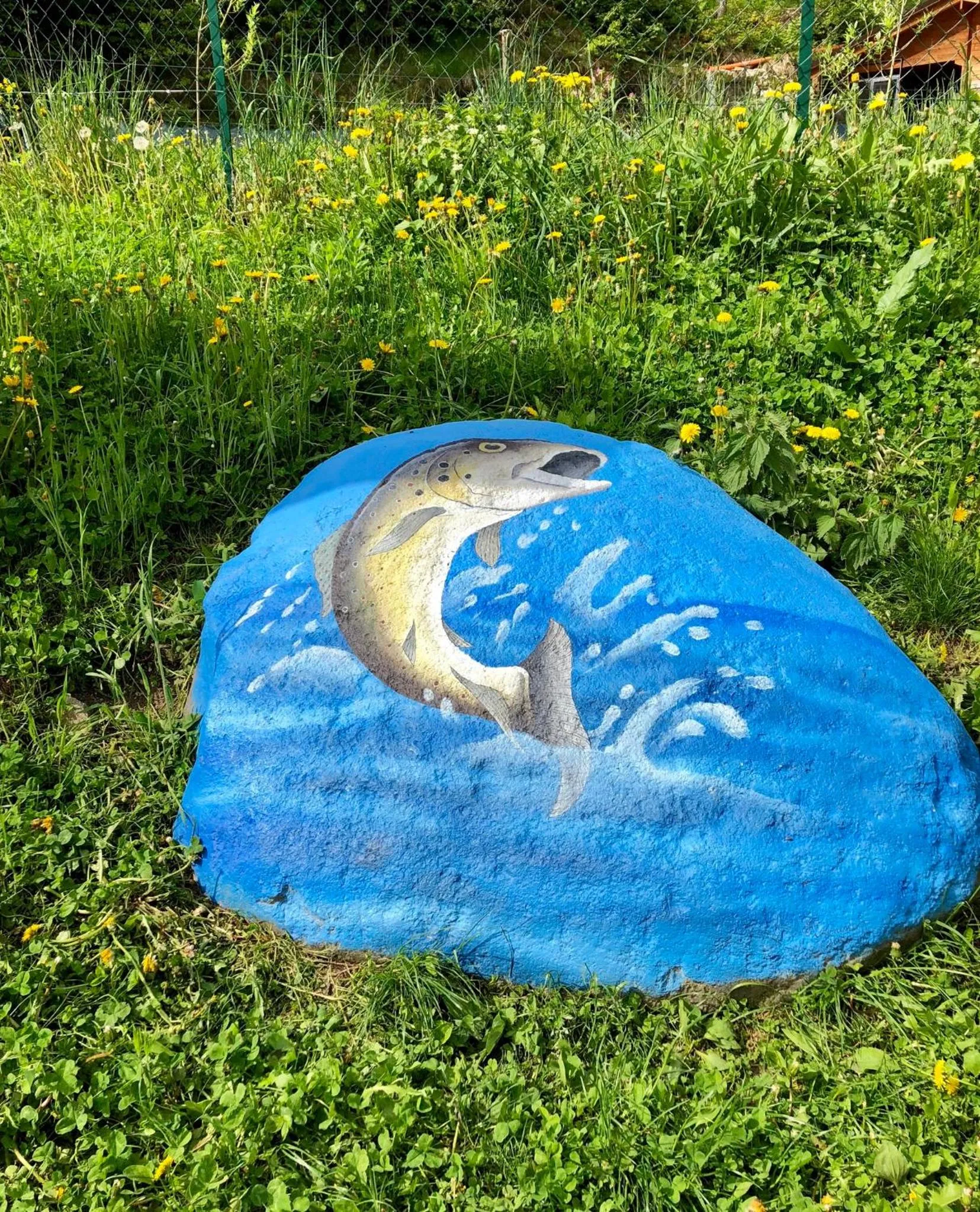 Activities in Appartamento Il Portico