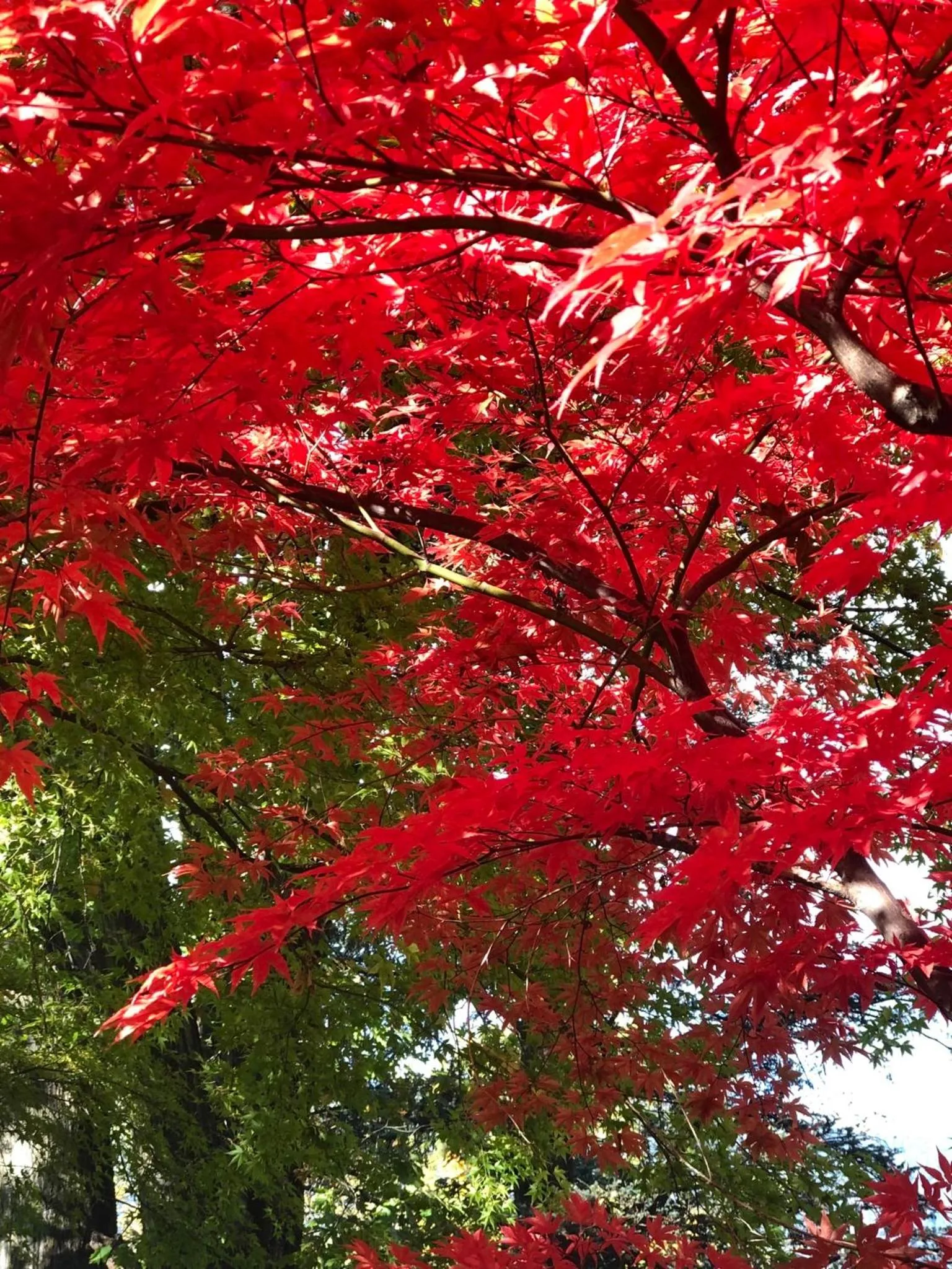 Appartamento Il Portico