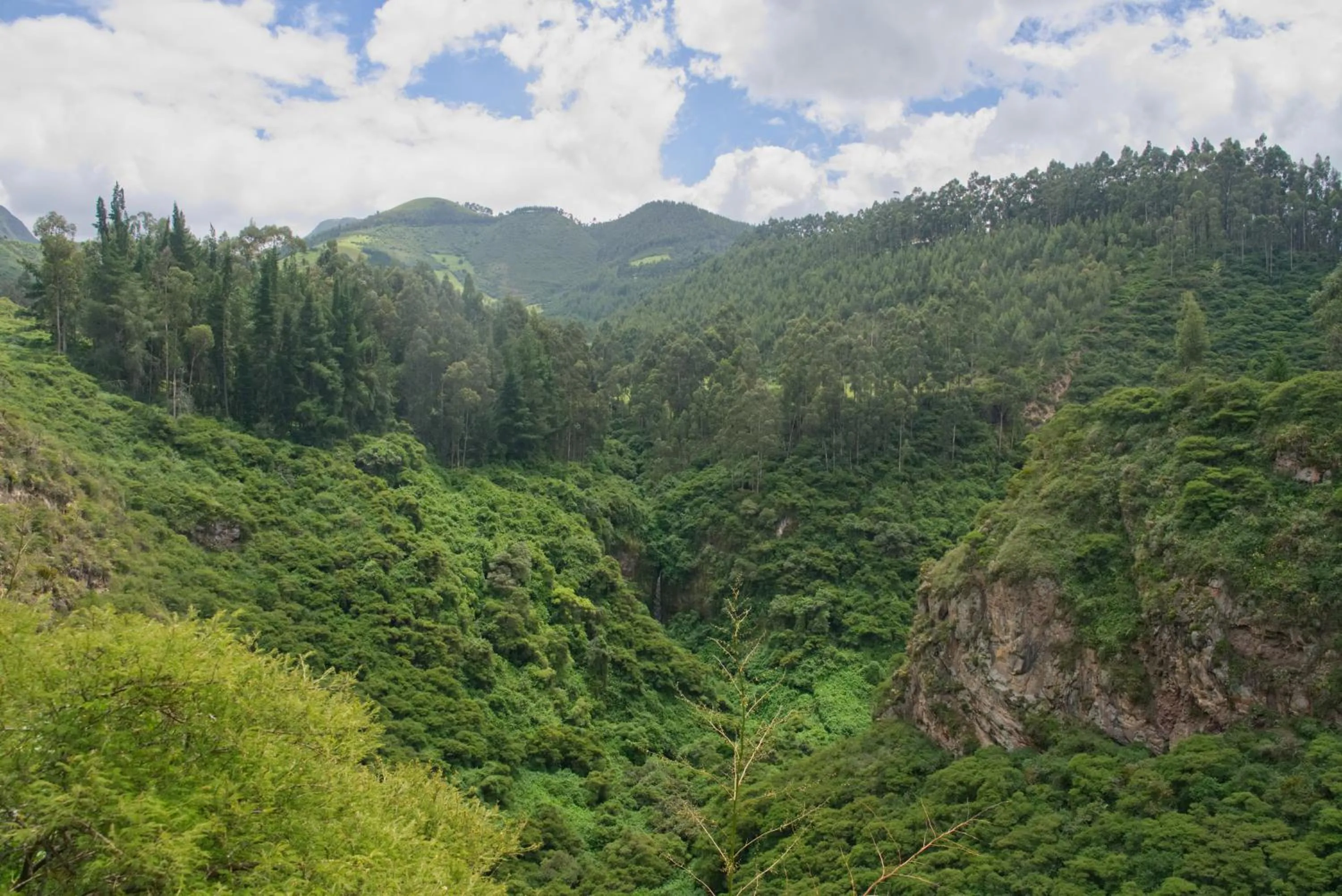 Mountain view in Hacienda Las Cuevas Terra Lodge