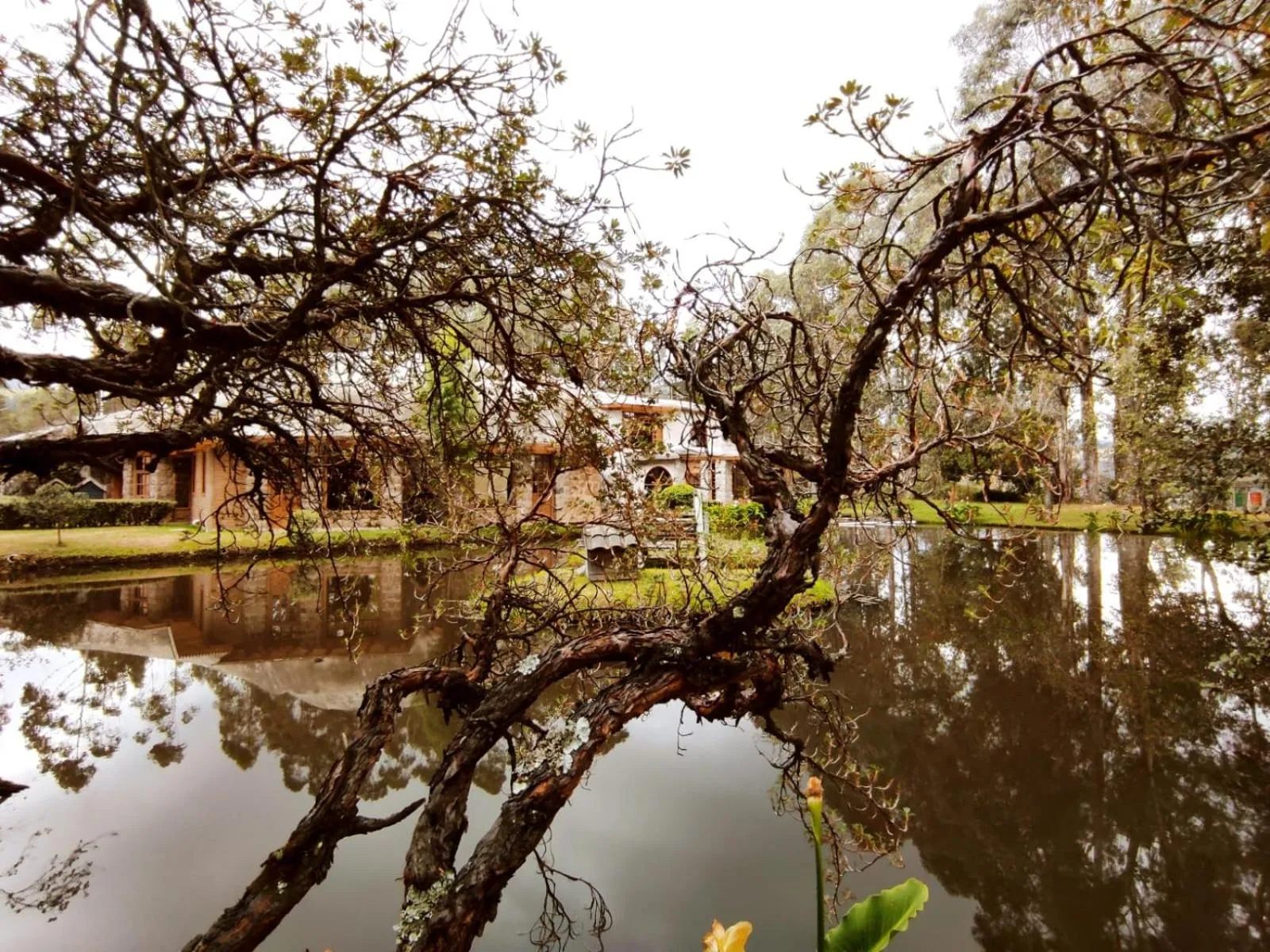 Hacienda Las Cuevas Terra Lodge