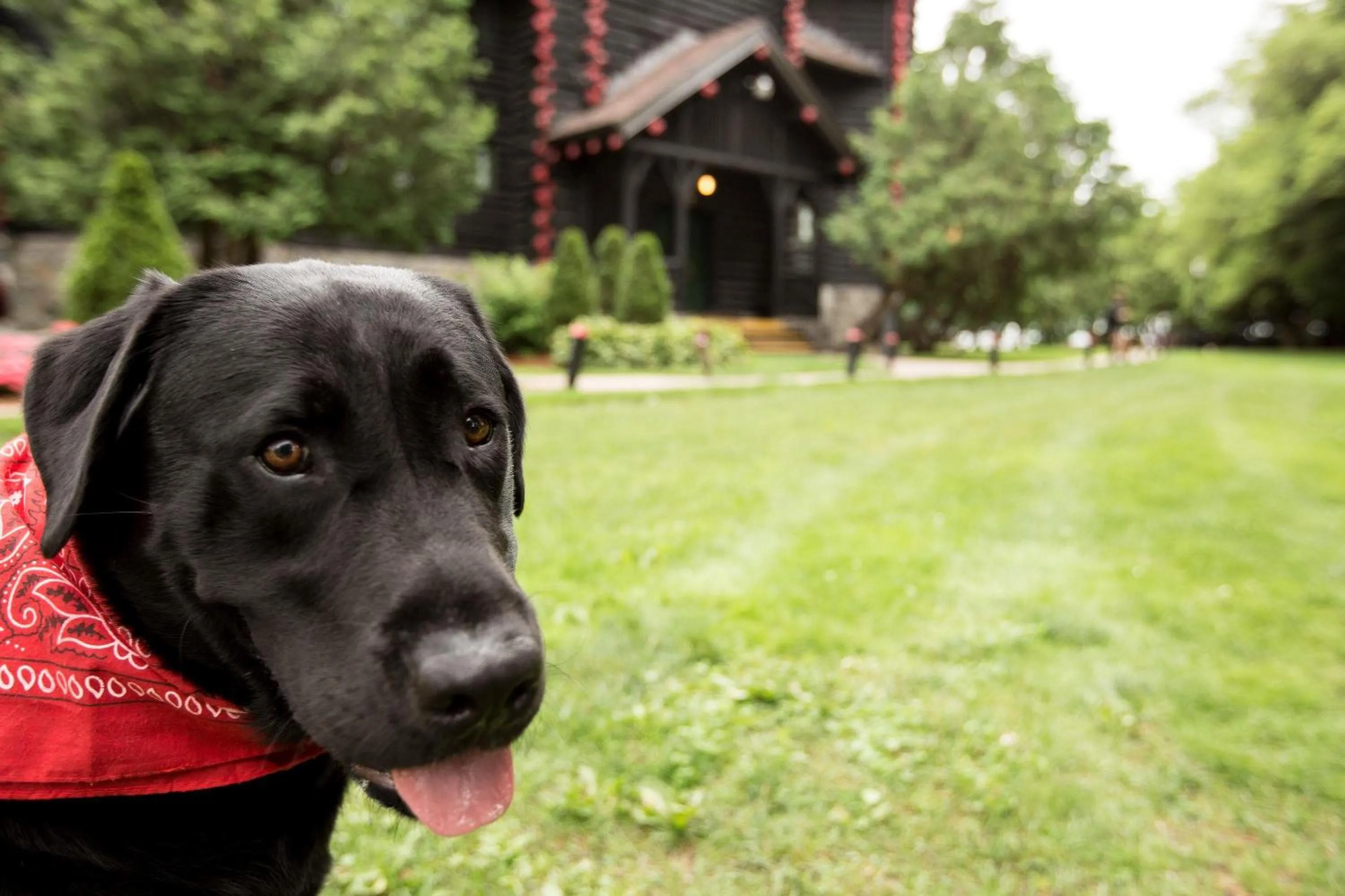 Natural landscape in Fairmont Le Chateau Montebello