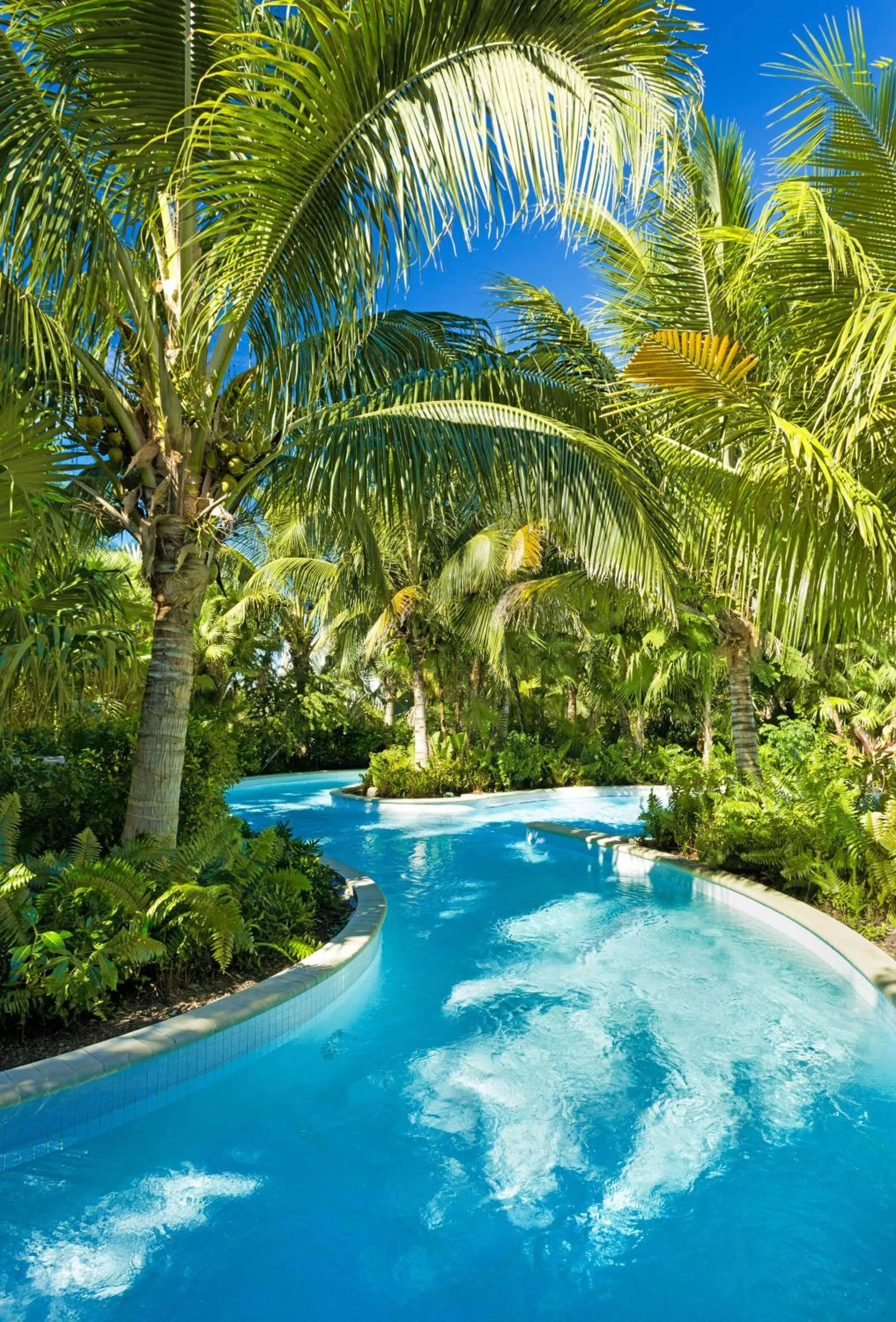 Swimming pool in Hyatt Regency Coconut Point Resort & Spa Near Naples
