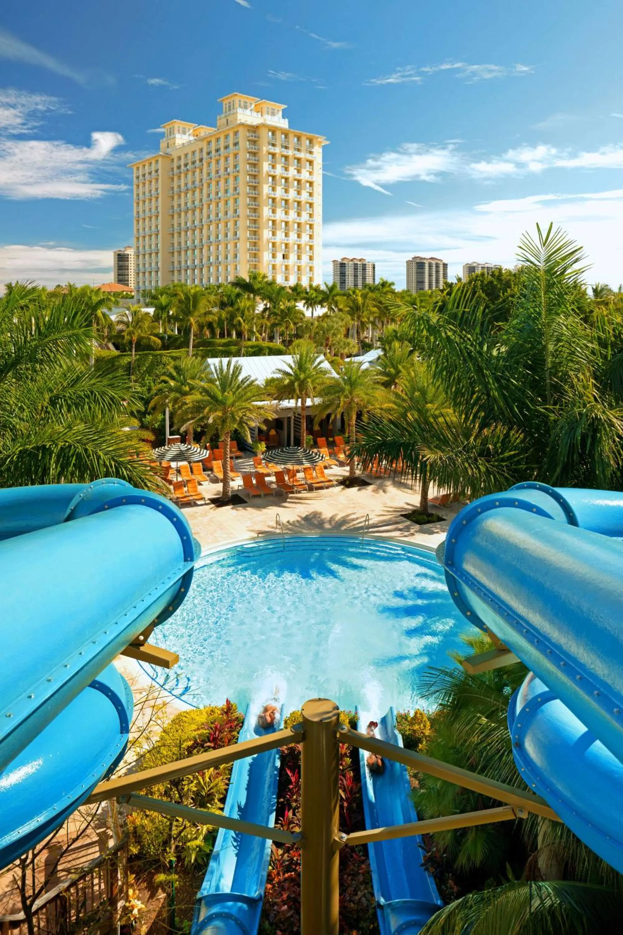 Pool view in Hyatt Regency Coconut Point Resort & Spa Near Naples