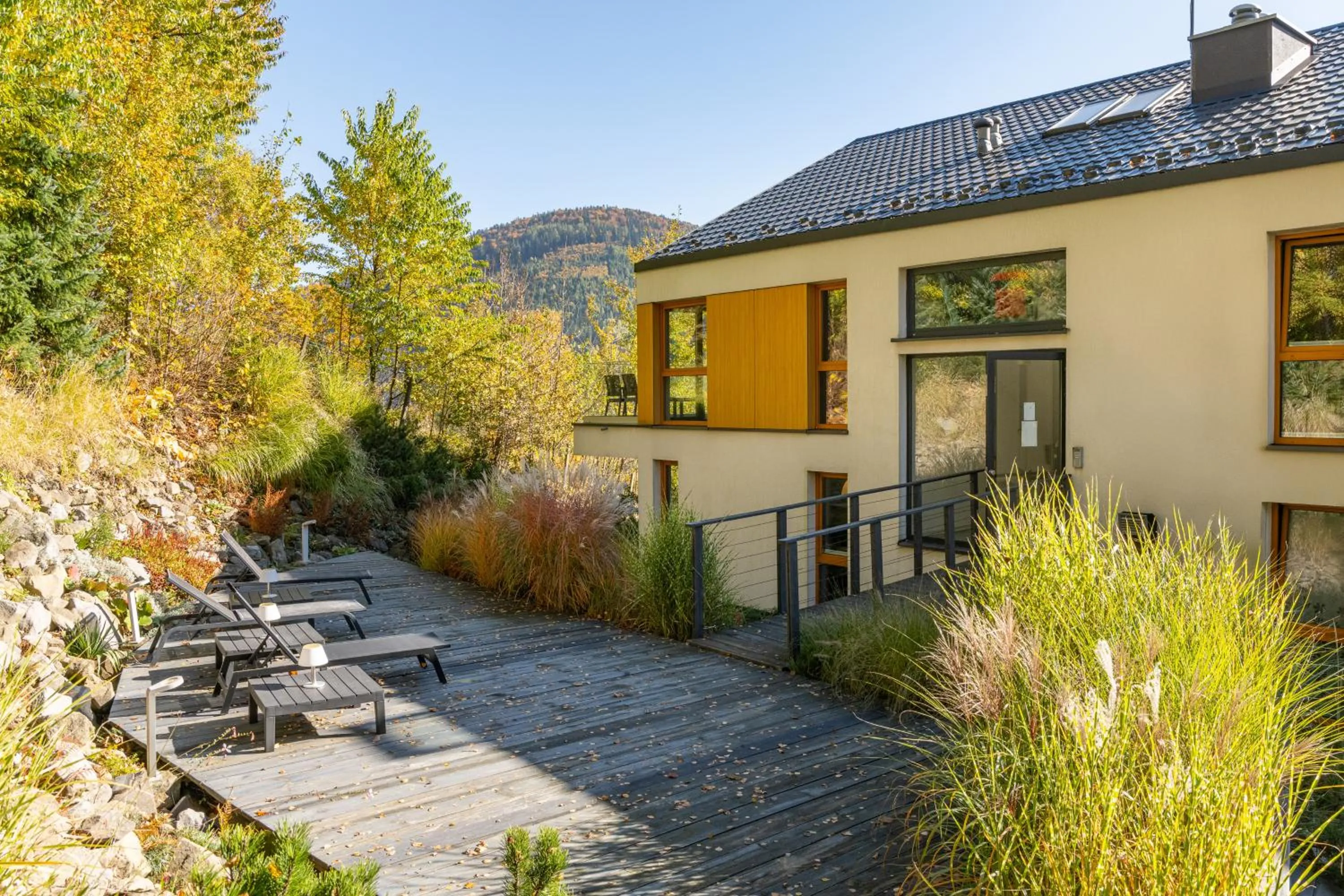 Garden in Apartamenty Willowa