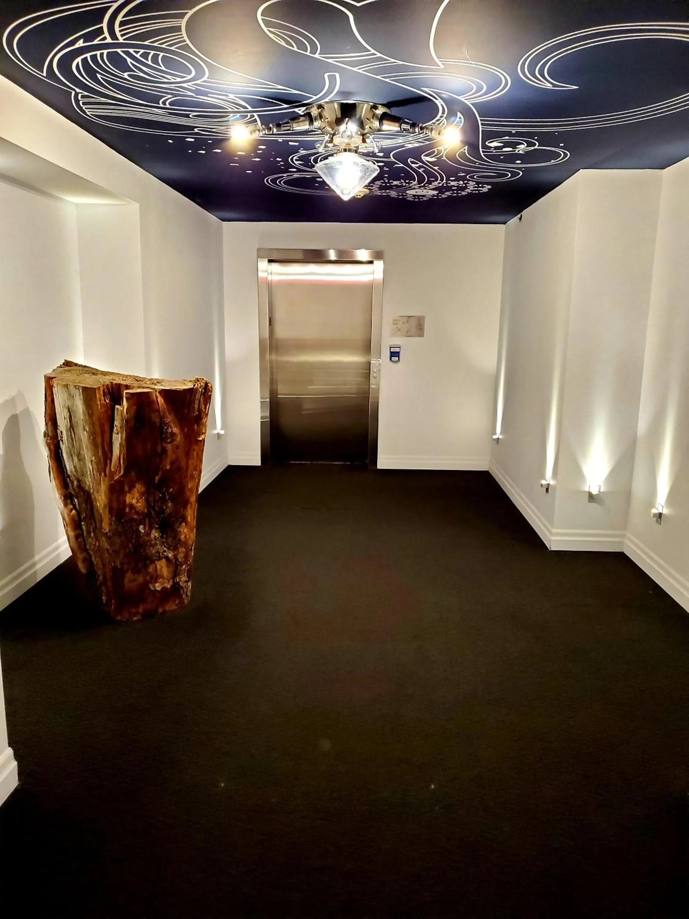 elevator in Hotel Chez Swann