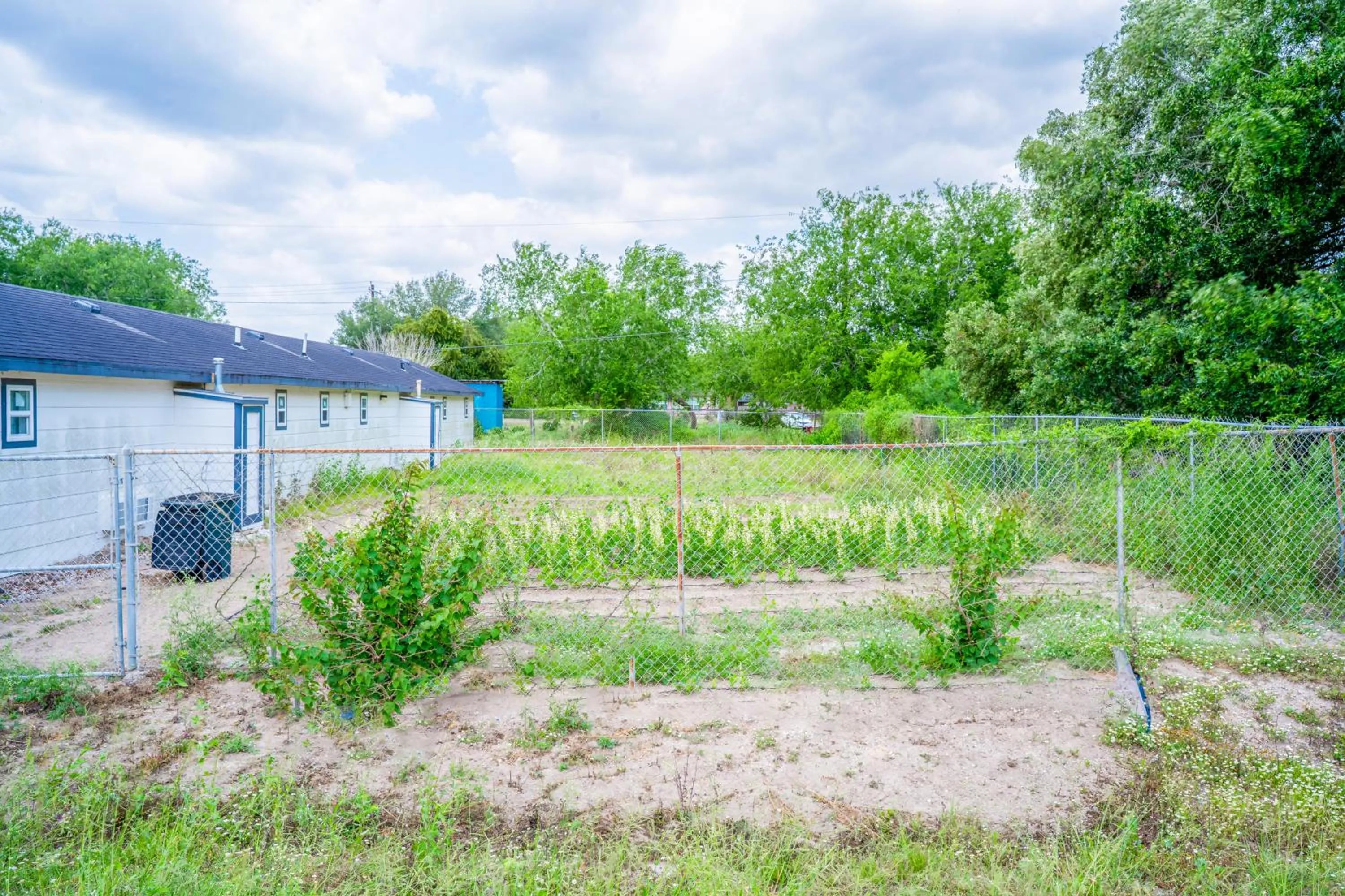 Garden in OYO Budget Inn Falfurrias Hwy 281