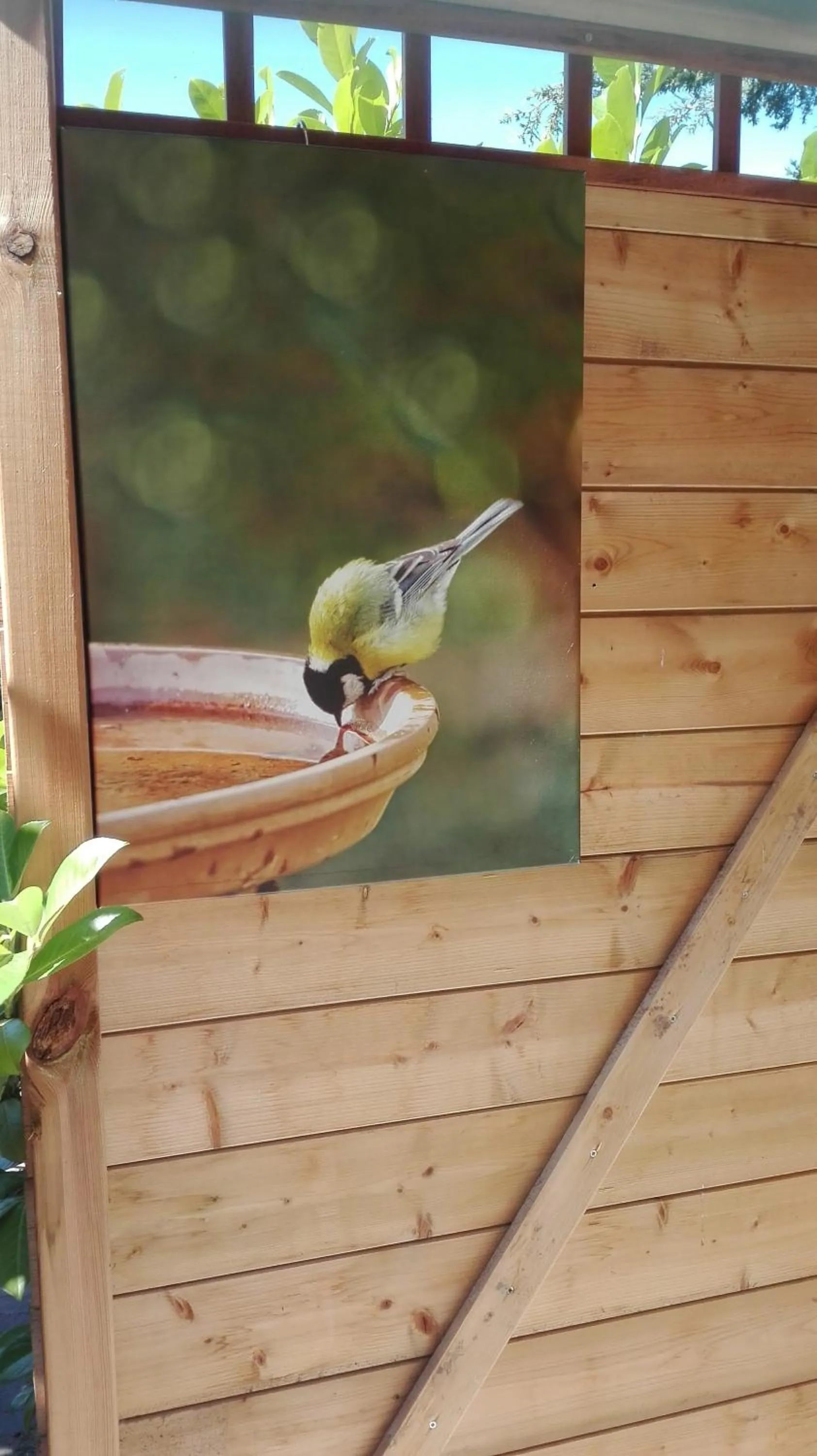 View (from property/room) in De Zes Wielen