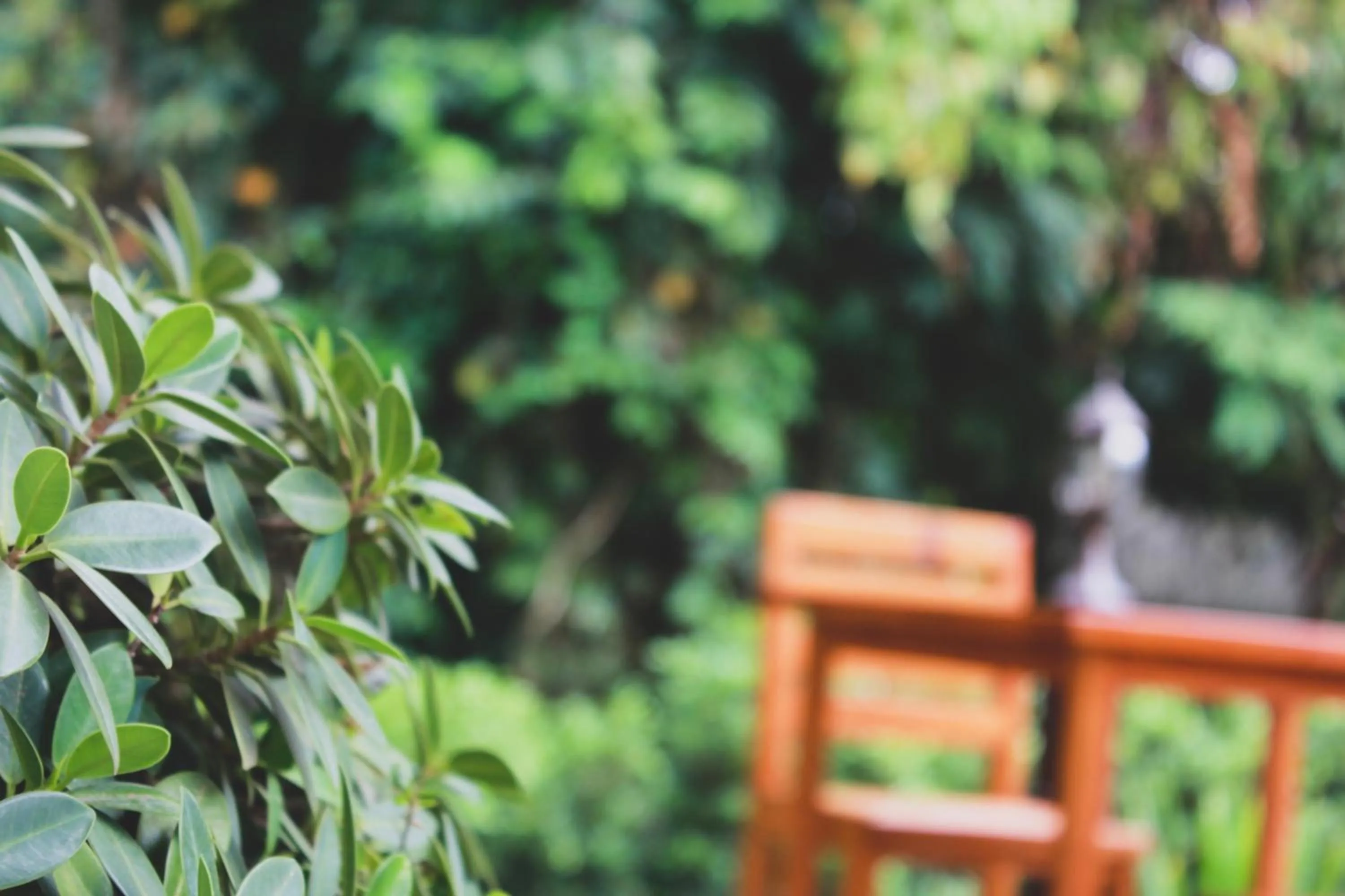 Decorative detail in Verona Lanta Resort