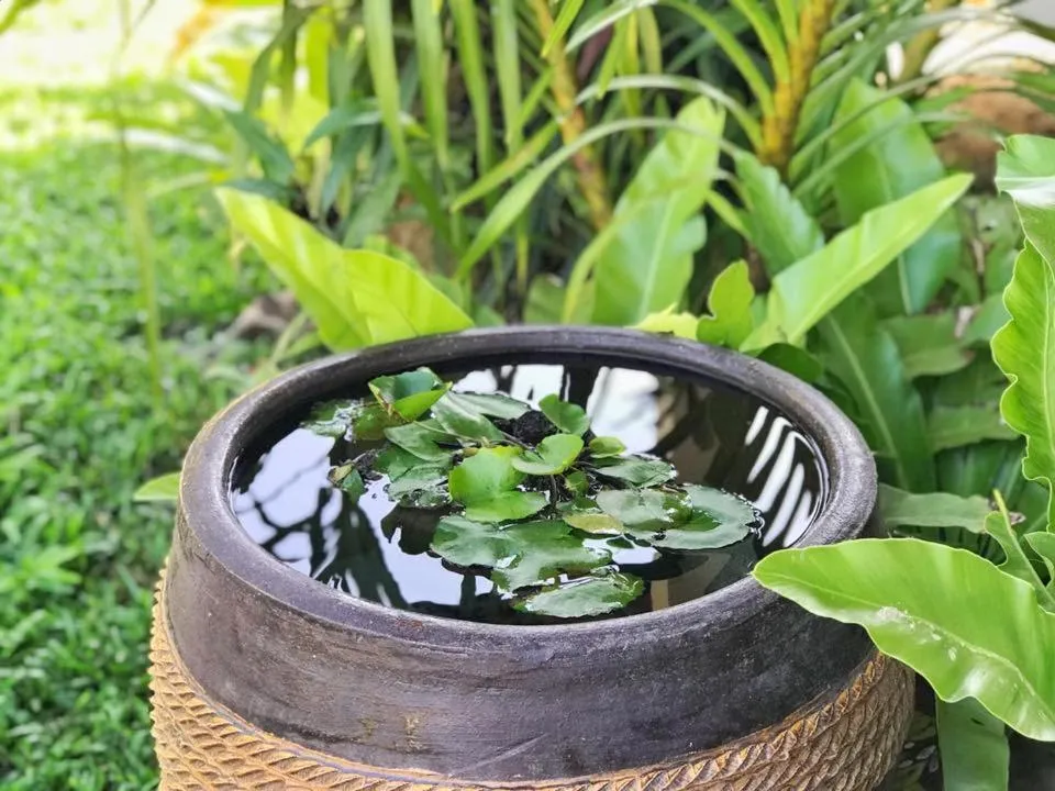 Garden in Verona Lanta Resort