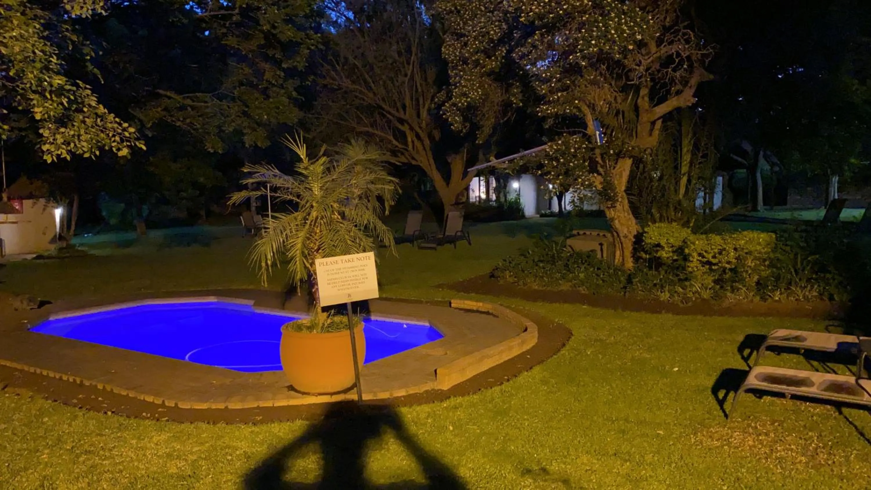 Swimming pool in Safari Club Guest Lodge OR Tambo International Airport