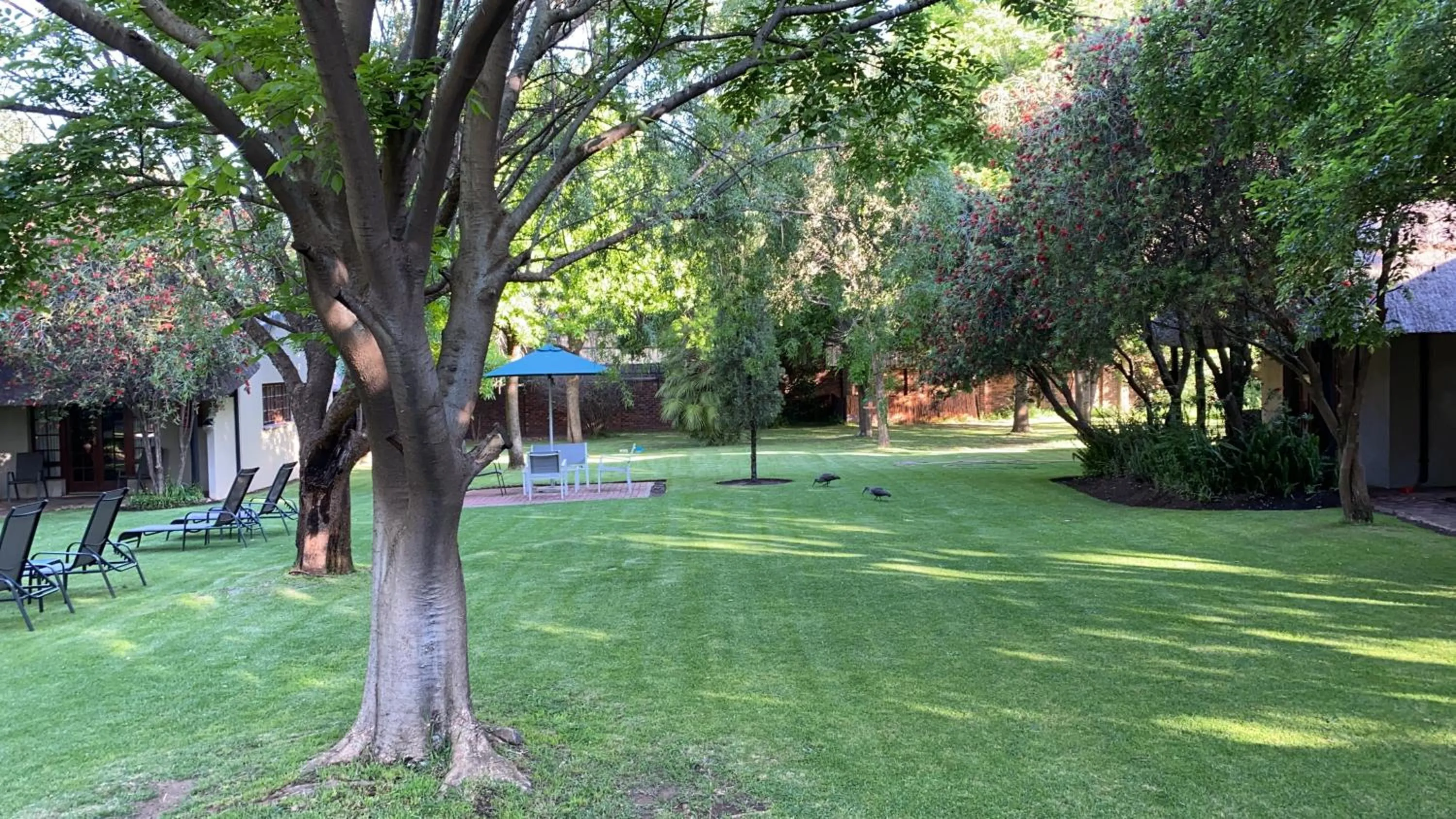 Garden in Safari Club Guest Lodge OR Tambo International Airport