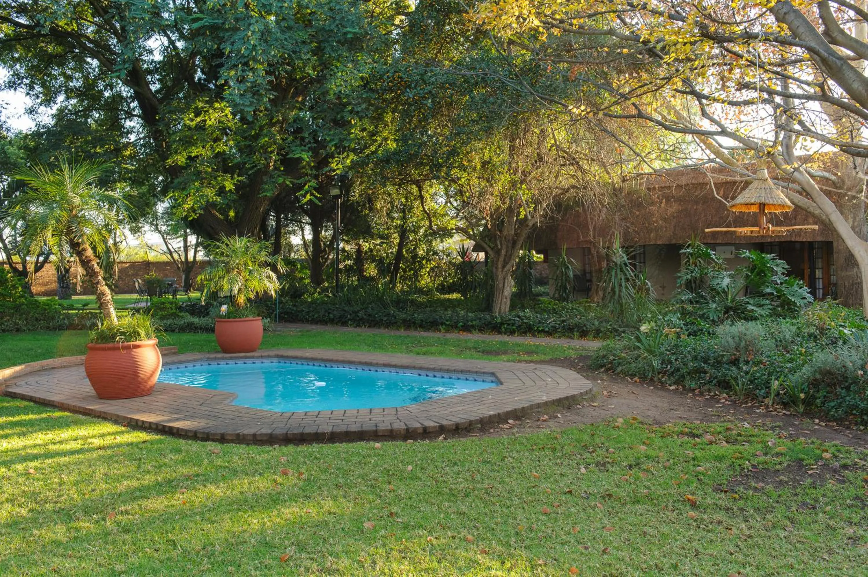 Swimming pool in Safari Club Guest Lodge OR Tambo International Airport