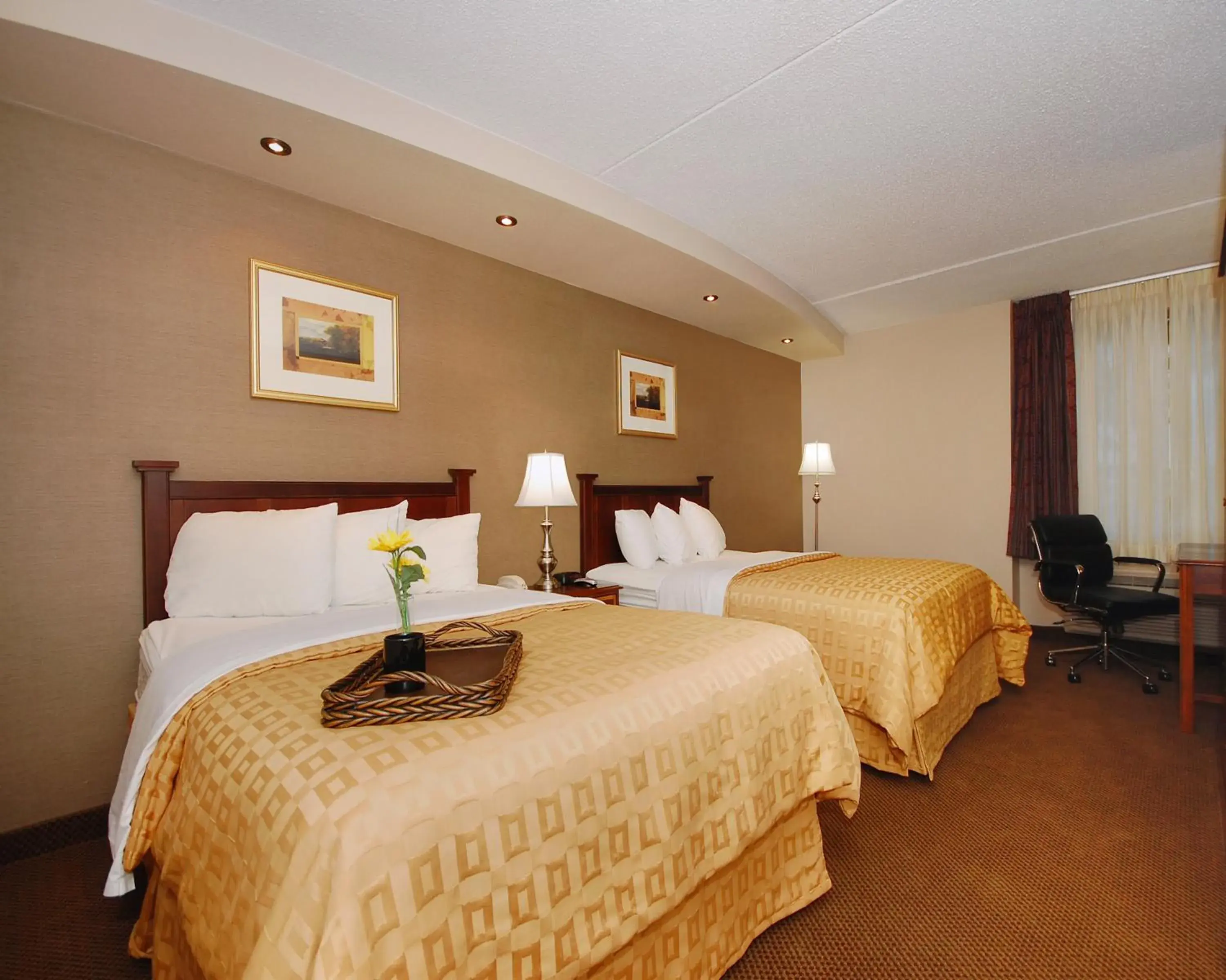 Double Room in Plaza Inn & Suites Double Room in Plaza Inn & Suites