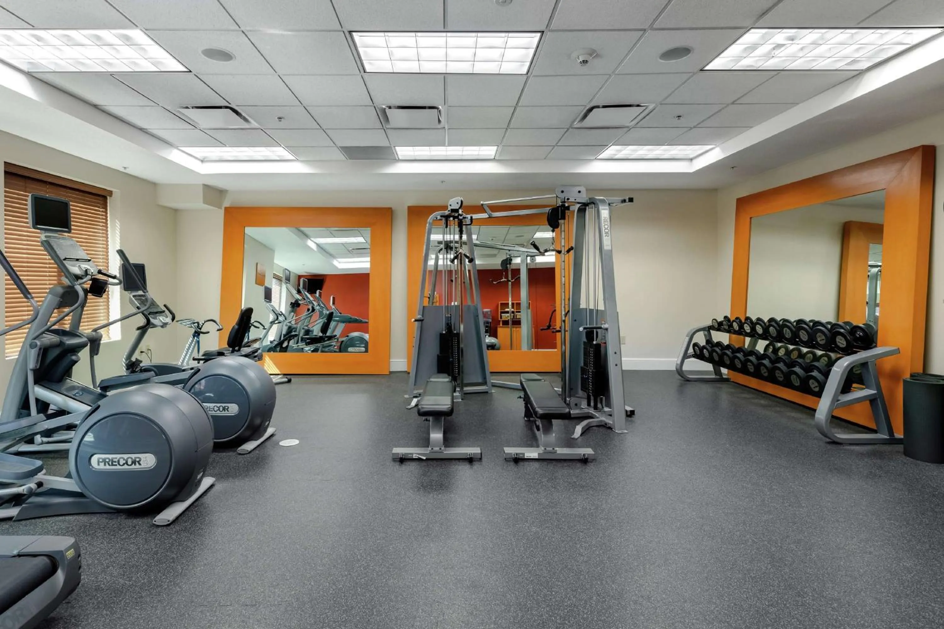 Fitness centre/facilities in Hilton Garden Inn Mobile West I-65 Airport Boulevard