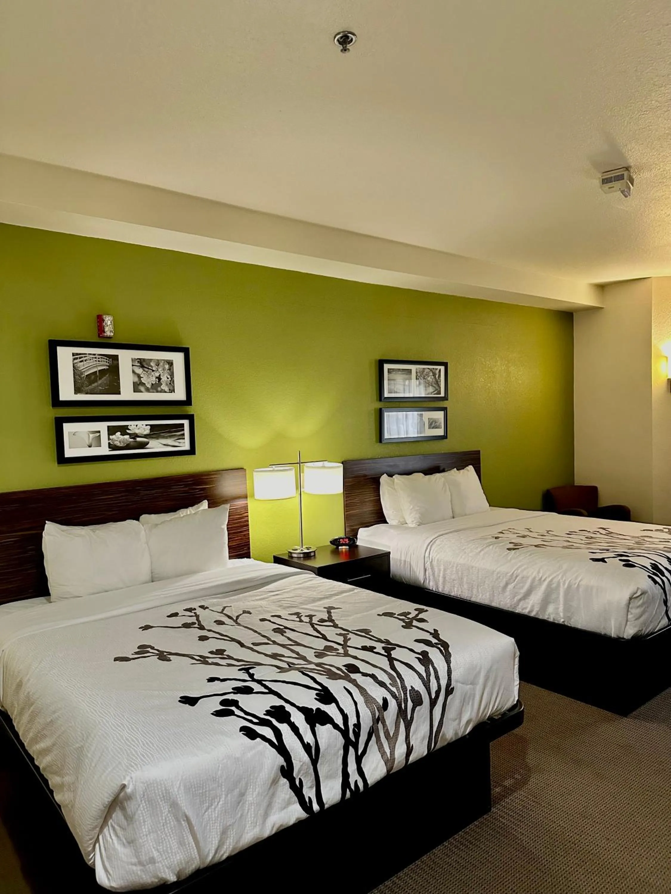 Bed in Sleep Inn & Suites Tulsa Central I-44