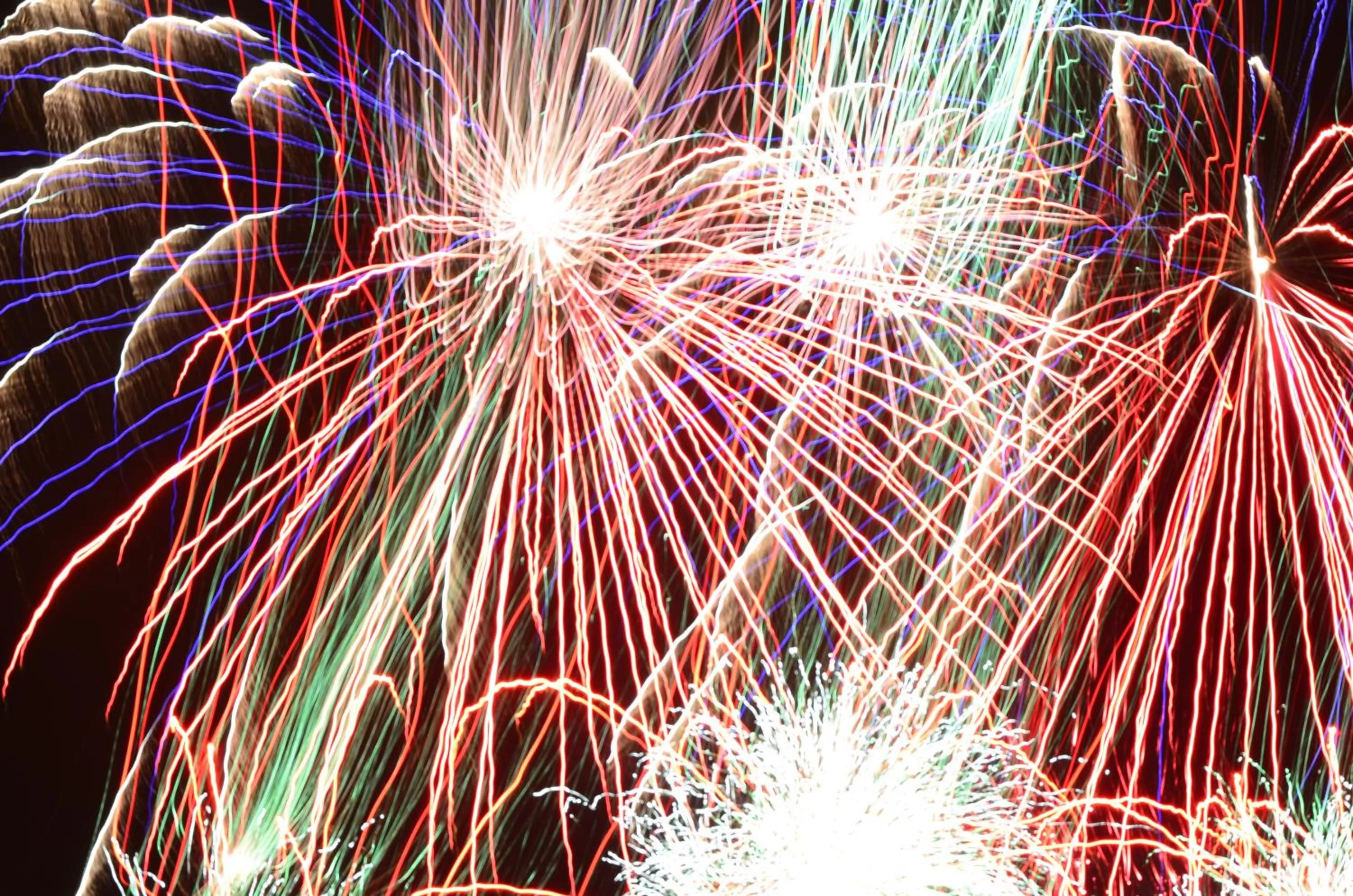 Autumn in Audley Guest House