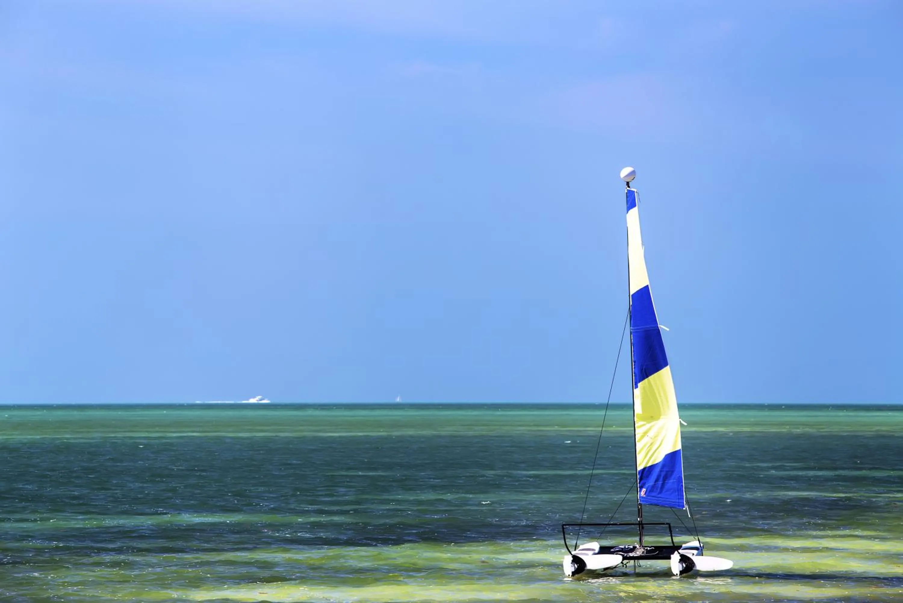 Windsurfing in Cheeca Lodge & Spa