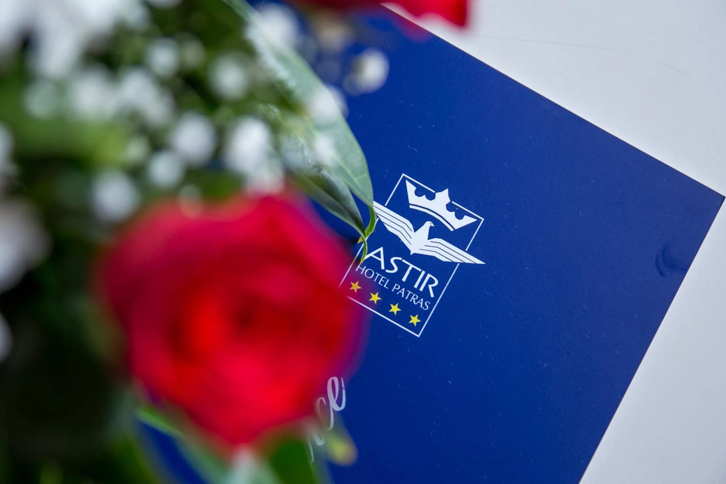 Decorative detail, Property Logo/Sign in Astir