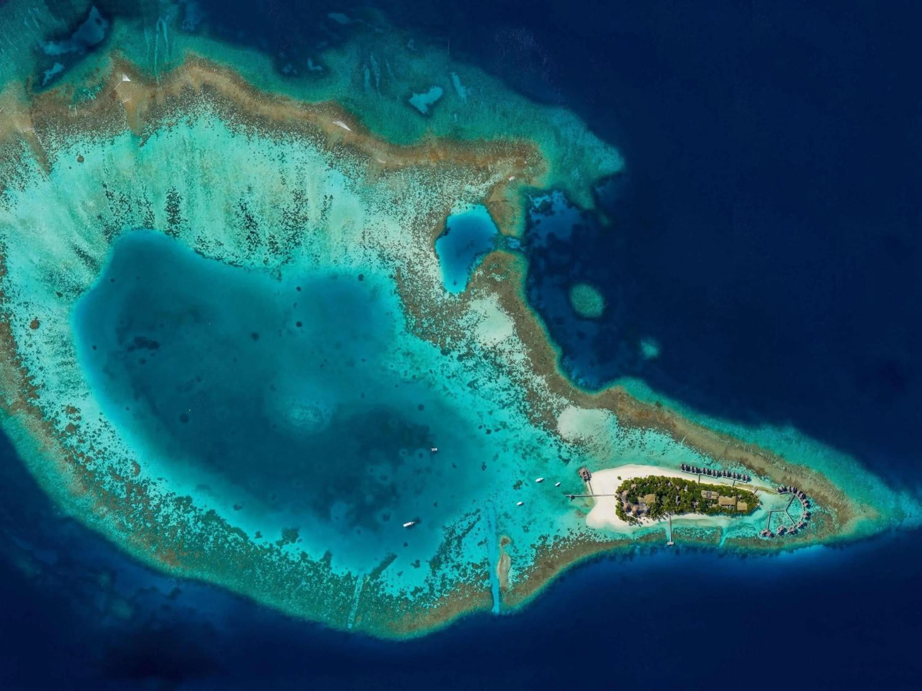 Other in V Villas Maldives at Mirihi - MGallery Collection