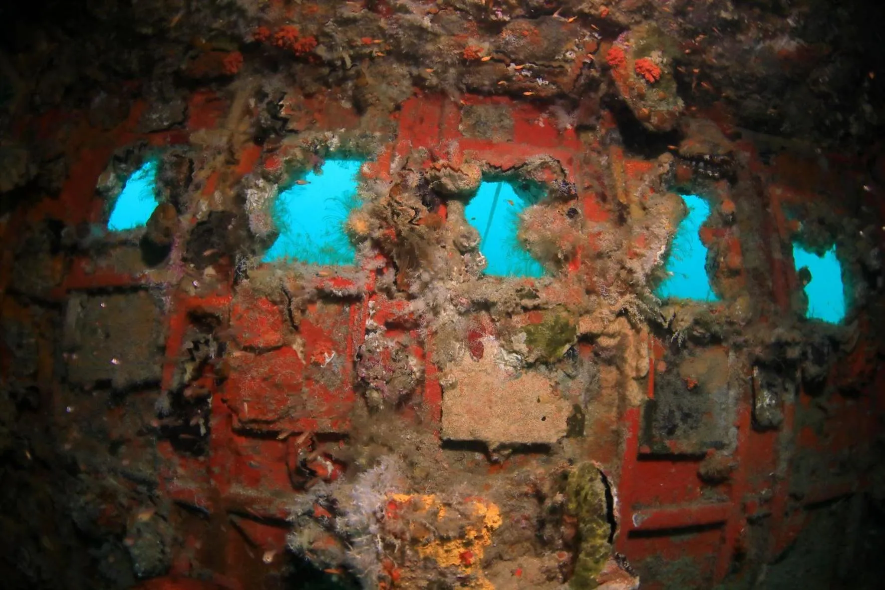 Diving in V Villas Maldives at Mirihi - MGallery Collection