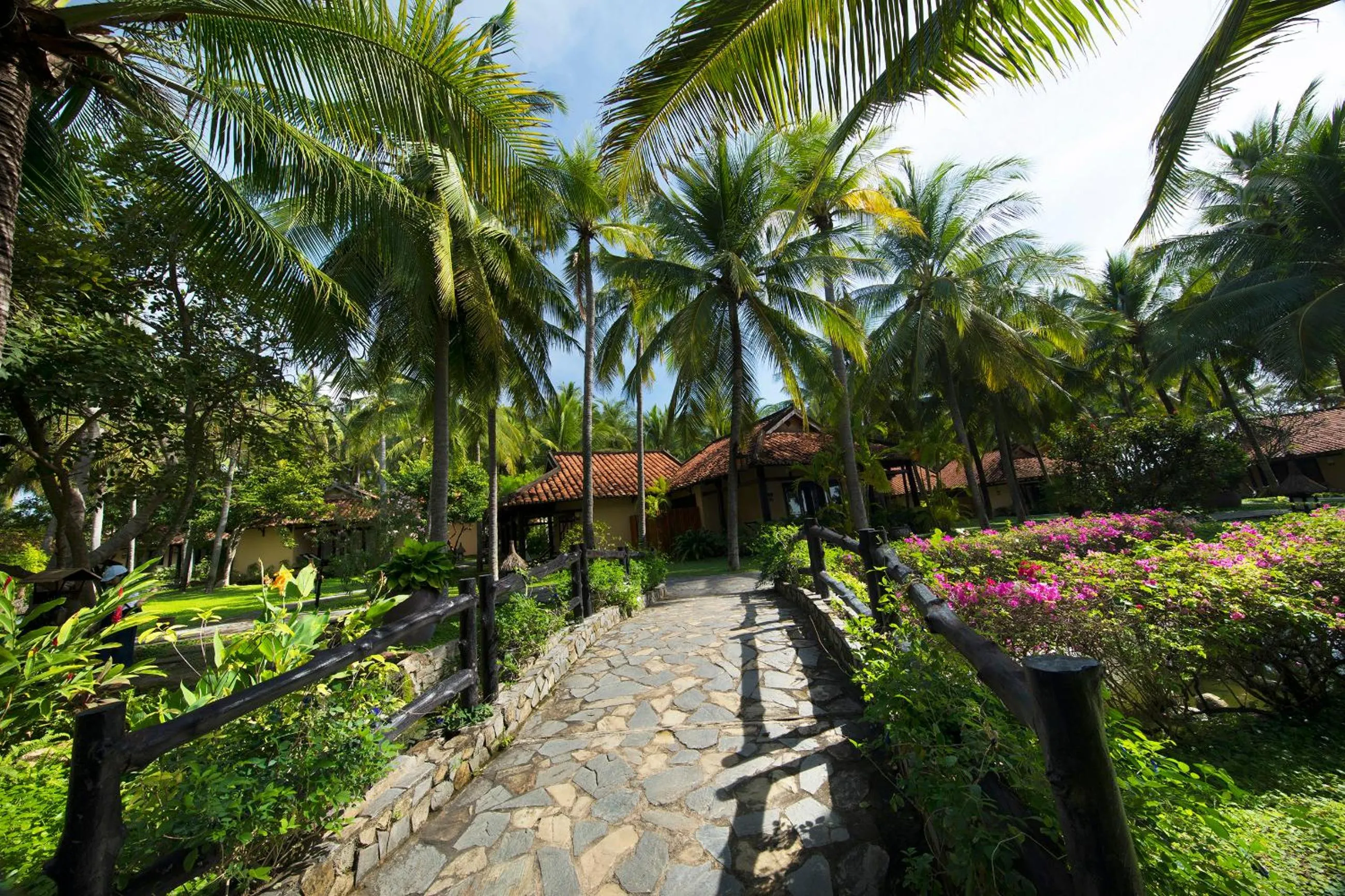 Garden in Seahorse Resort & Spa