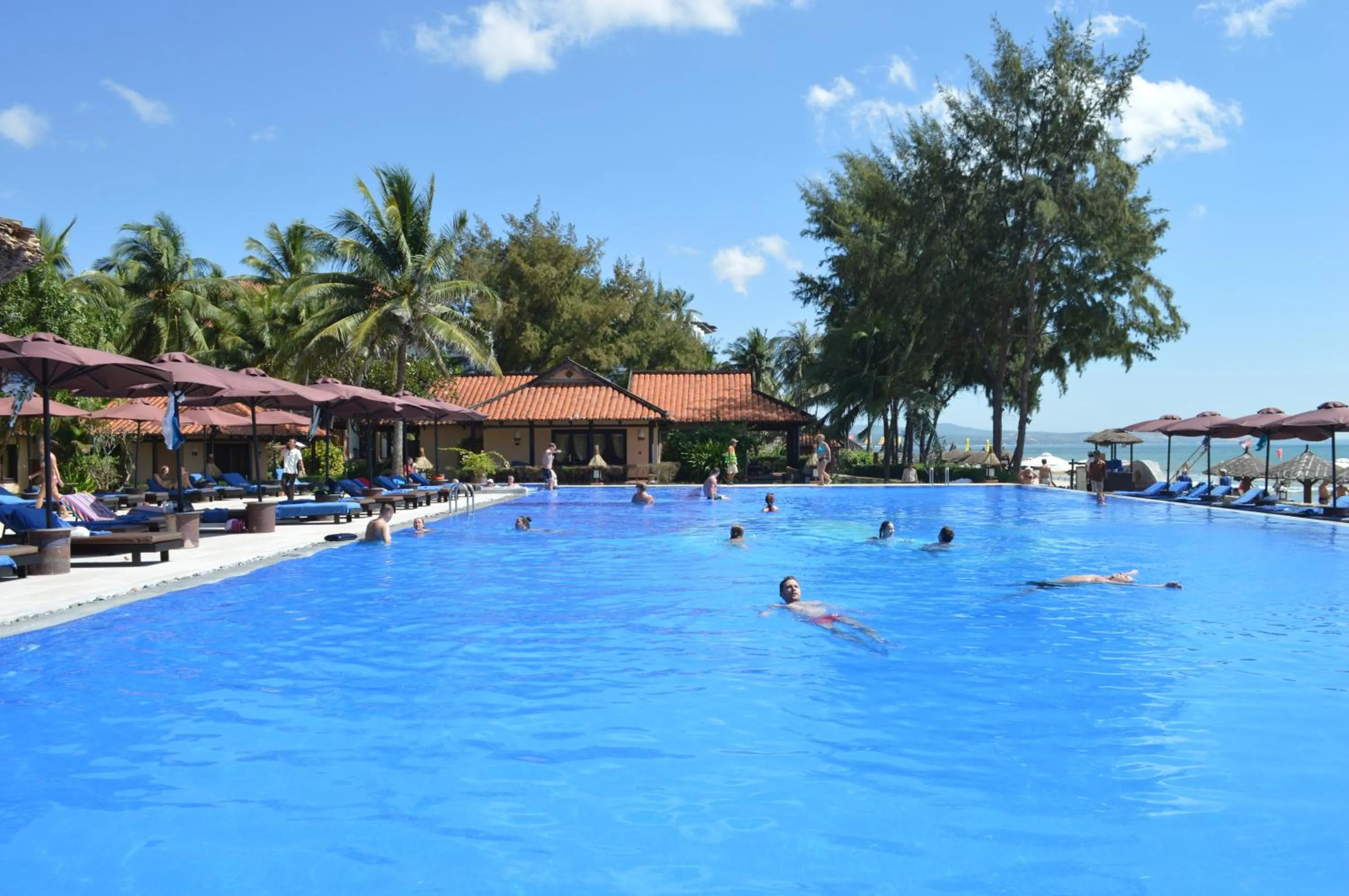 Swimming pool in Seahorse Resort & Spa