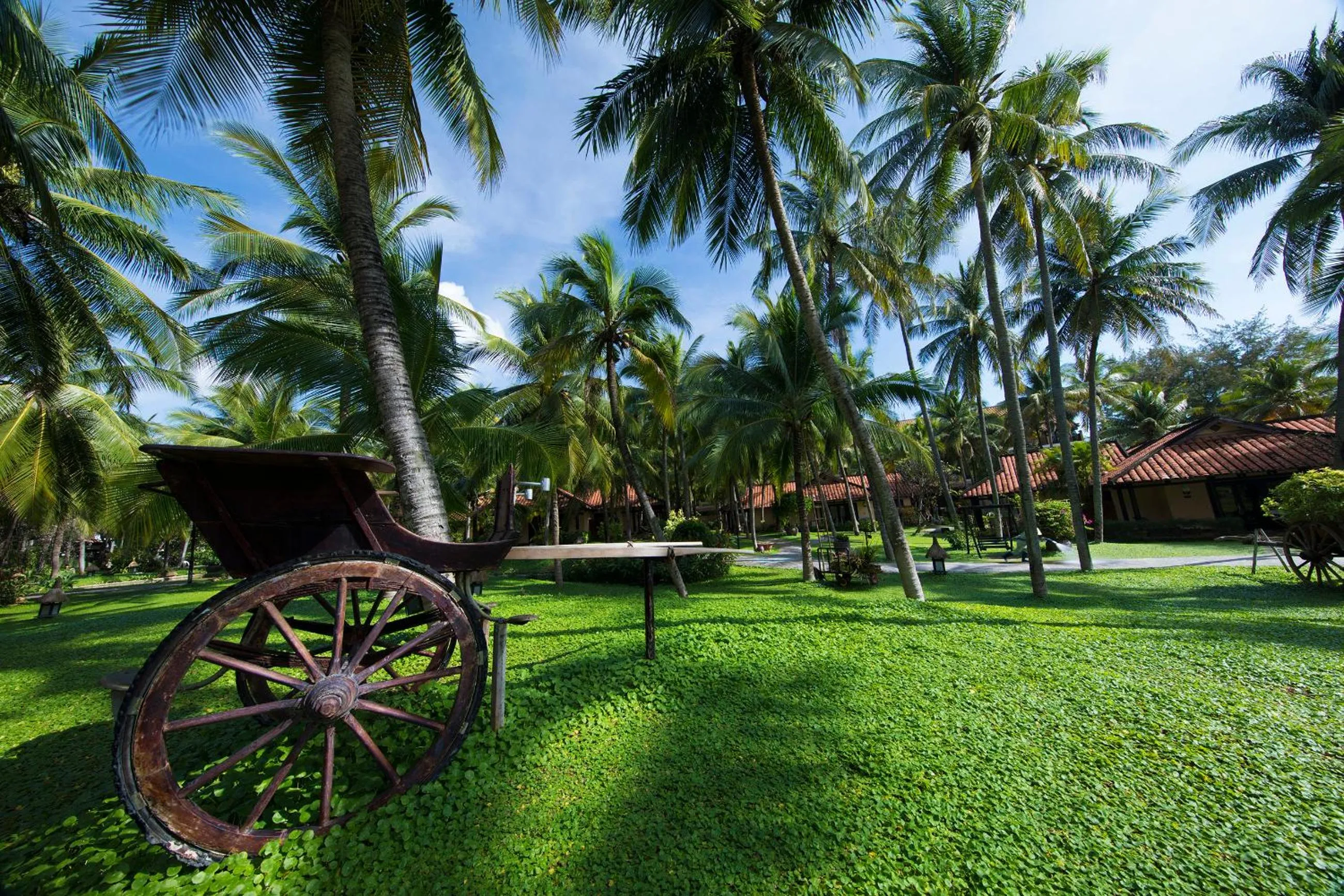Garden in Seahorse Resort & Spa