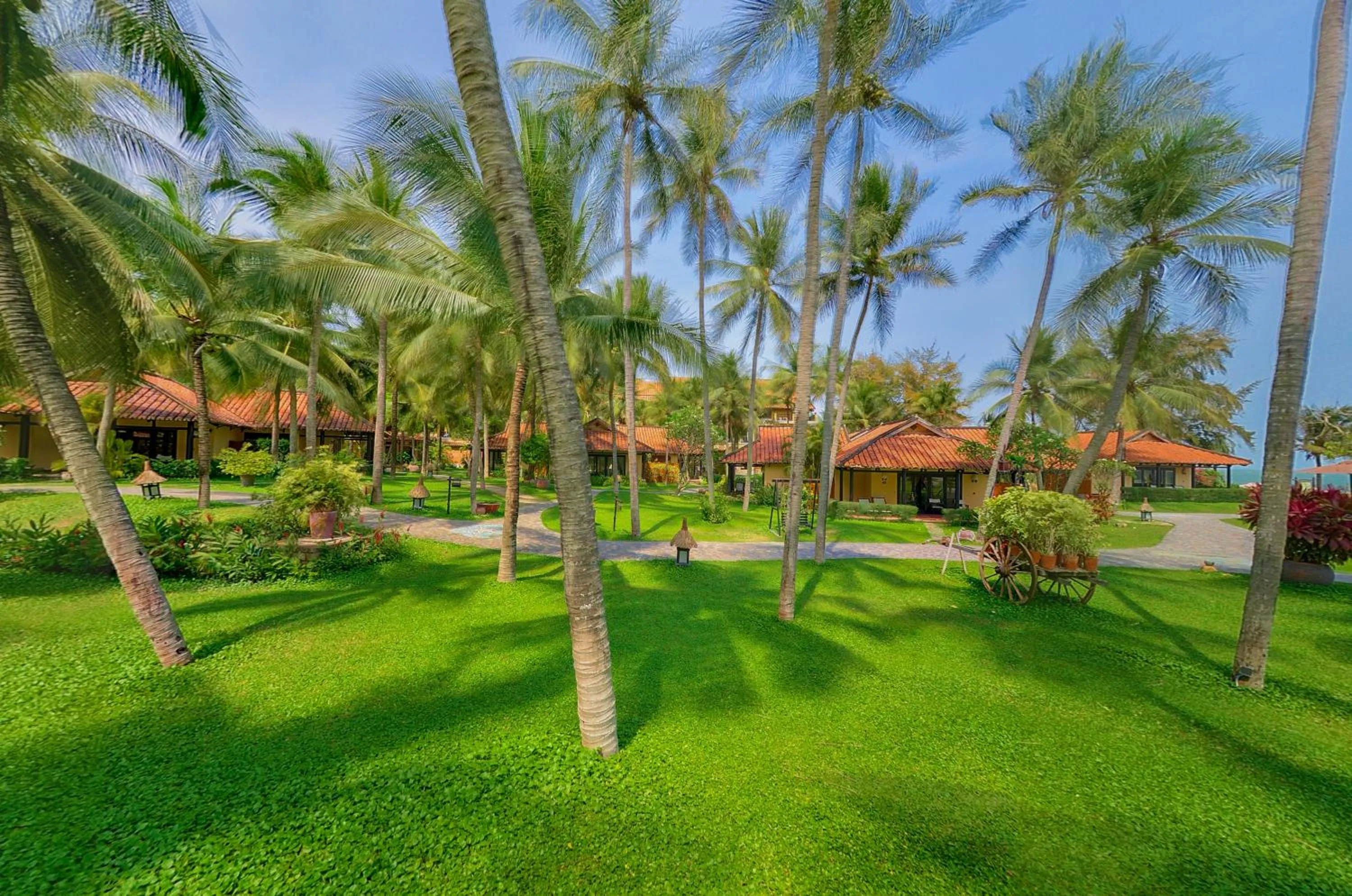 Garden view in Seahorse Resort & Spa